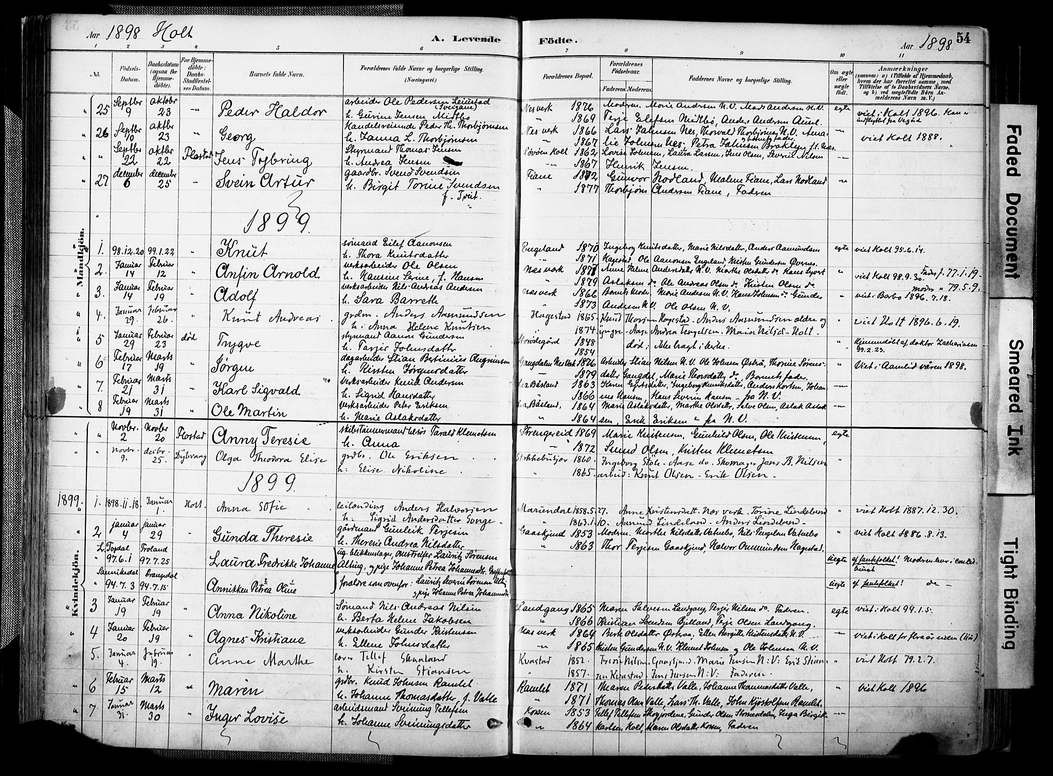 Holt sokneprestkontor, AV/SAK-1111-0021/F/Fa/L0012: Parish register (official) no. A 12, 1885-1907, p. 54