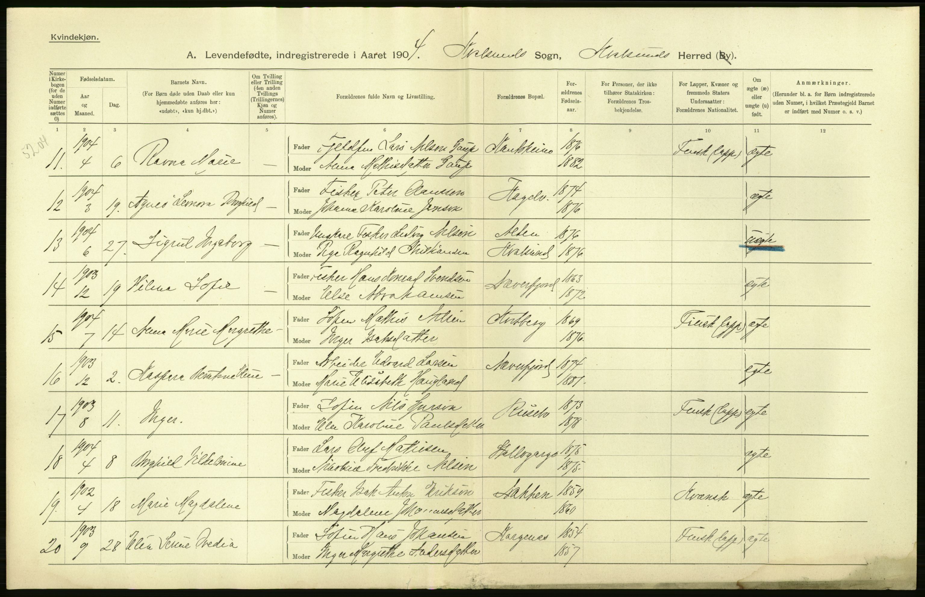 Statistisk sentralbyrå, Sosiodemografiske emner, Befolkning, AV/RA-S-2228/D/Df/Dfa/Dfab/L0023: Finnmarkens amt: Fødte, gifte, døde, 1904, p. 16