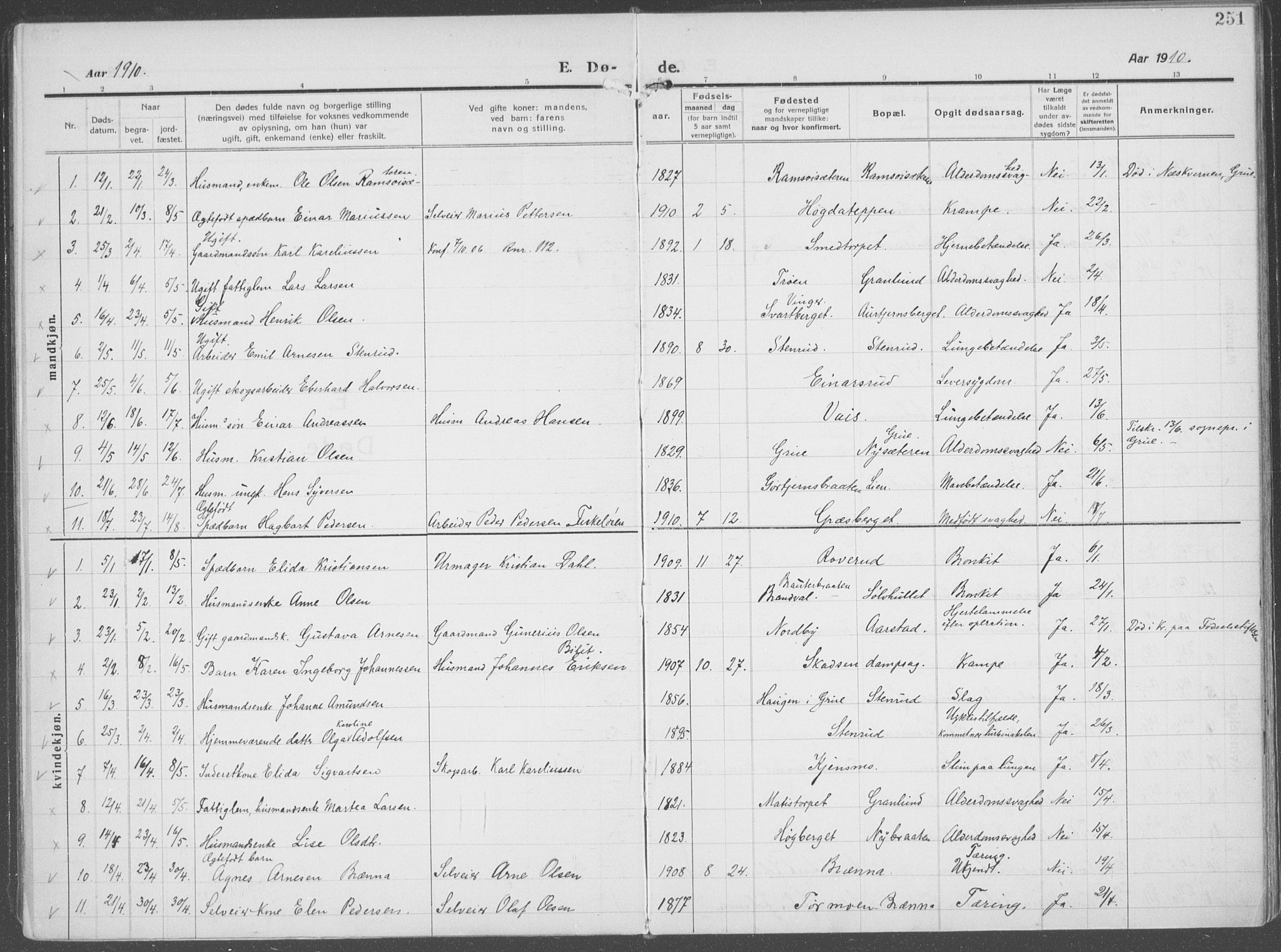 Brandval prestekontor, AV/SAH-PREST-034/H/Ha/Haa/L0004: Parish register (official) no. 4, 1910-1924, p. 251