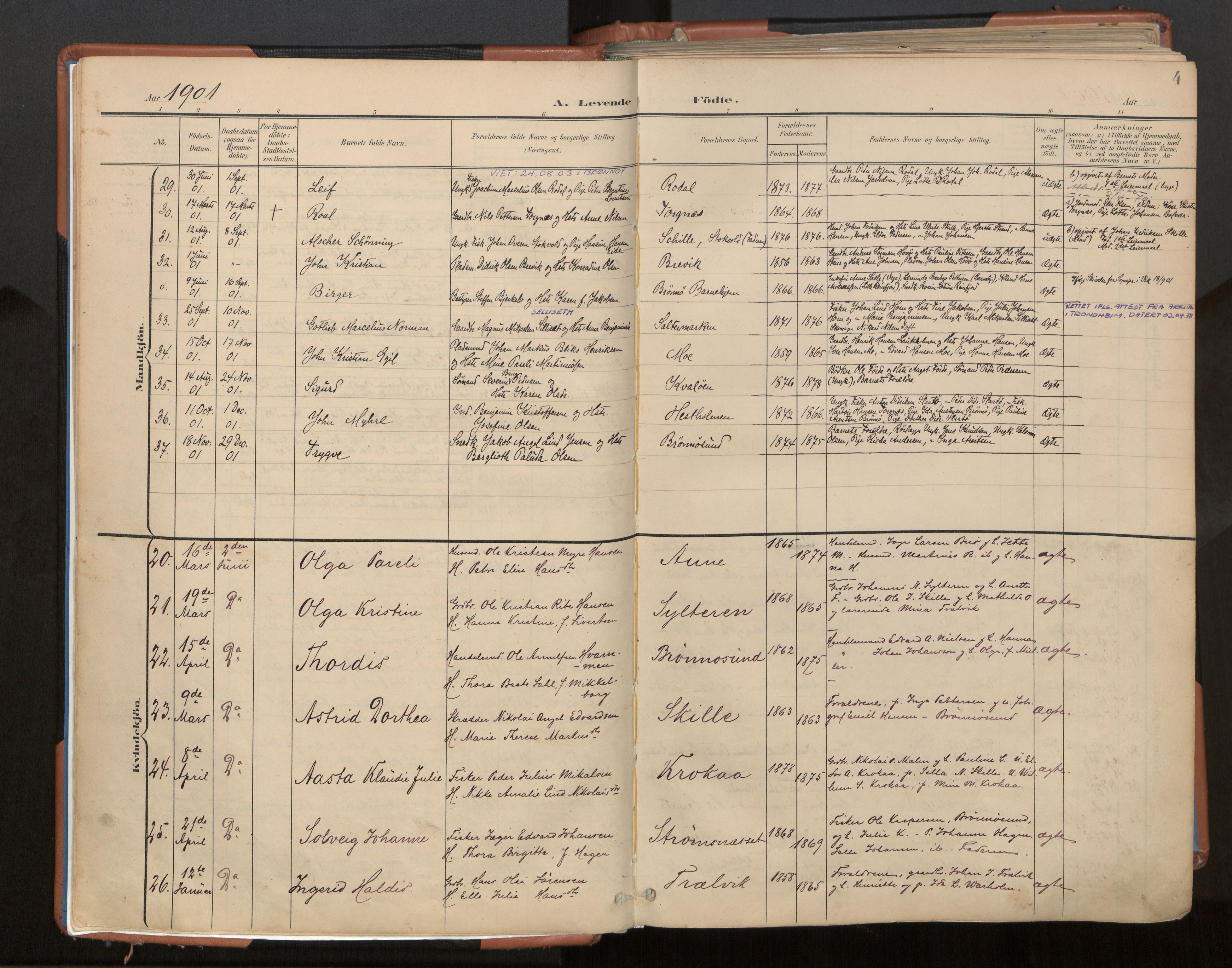 Ministerialprotokoller, klokkerbøker og fødselsregistre - Nordland, AV/SAT-A-1459/813/L0201: Parish register (official) no. 813A11, 1901-1918, p. 4