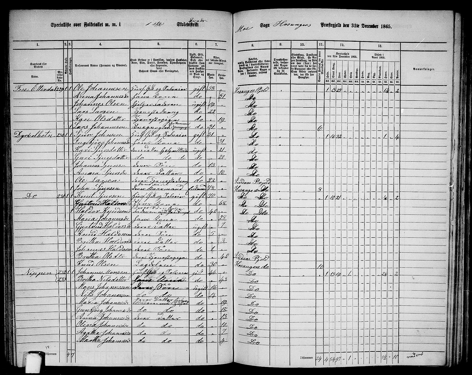 RA, 1865 census for Hosanger, 1865, p. 123