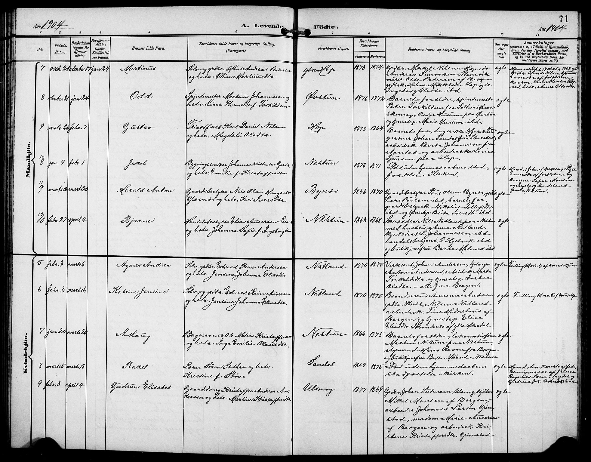 Birkeland Sokneprestembete, AV/SAB-A-74601/H/Hab: Parish register (copy) no. A 5, 1897-1905, p. 71