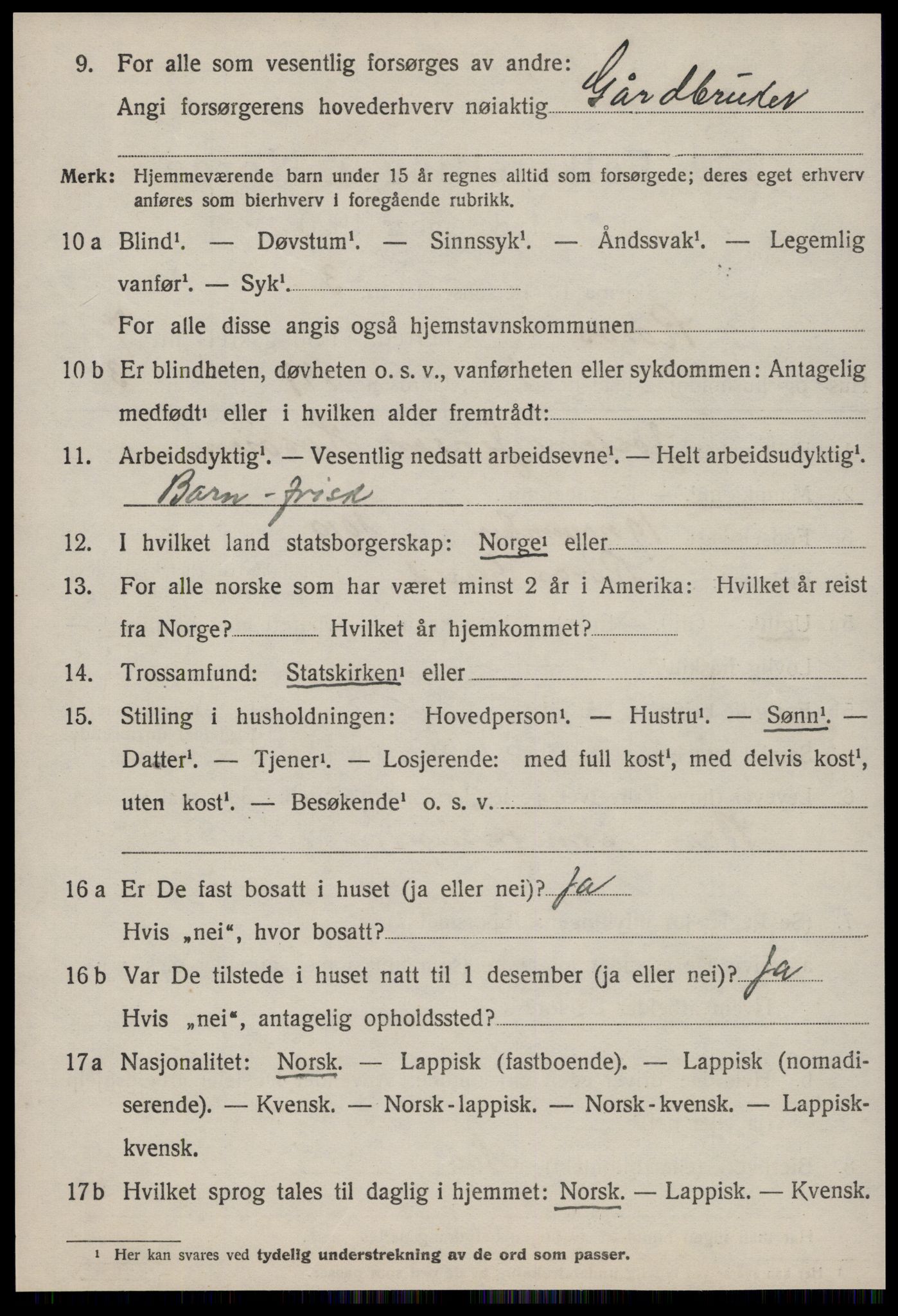 SAT, 1920 census for Røros, 1920, p. 6913