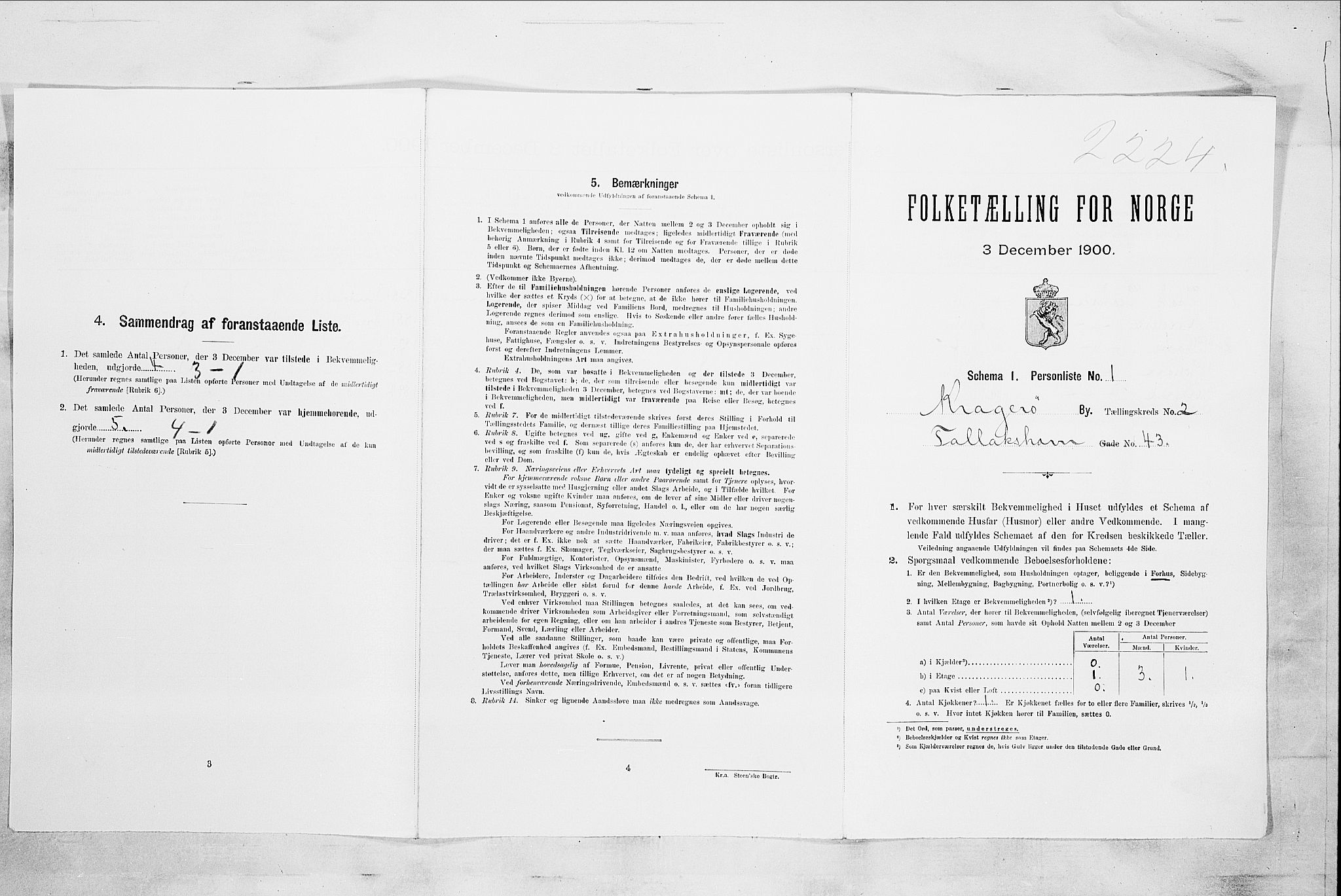 SAKO, 1900 census for Kragerø, 1900, p. 258