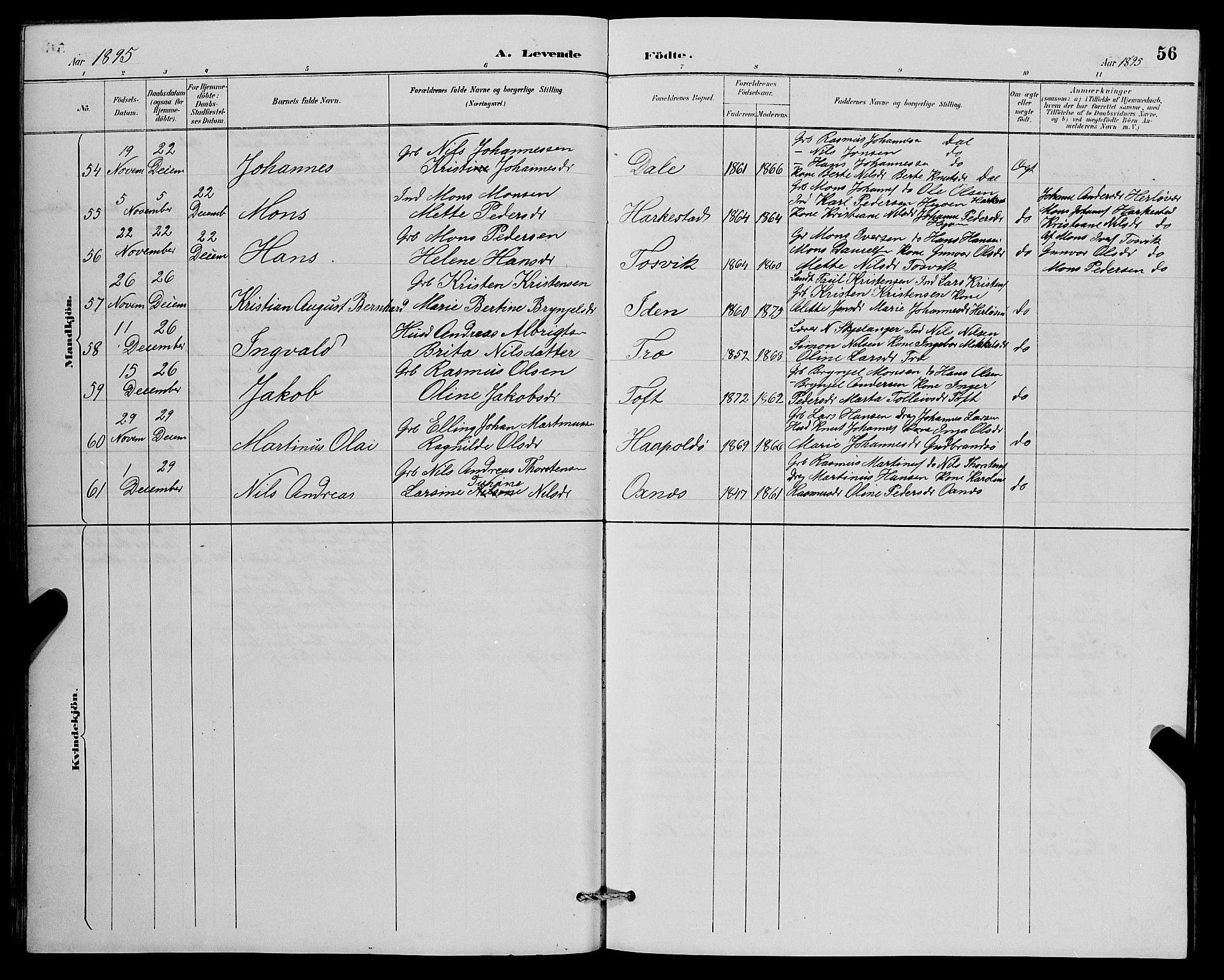 Herdla Sokneprestembete, AV/SAB-A-75701/H/Hab: Parish register (copy) no. A 3, 1889-1899, p. 56