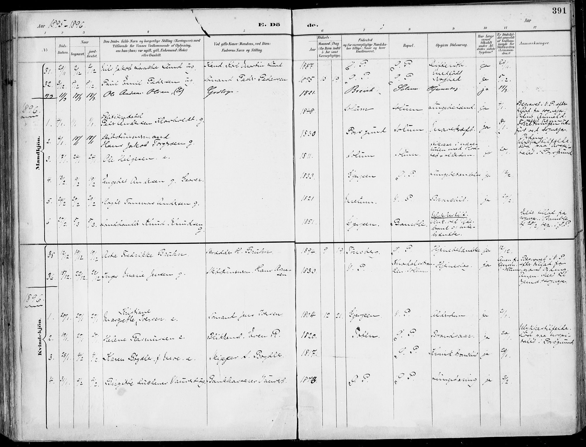 Porsgrunn kirkebøker , SAKO/A-104/F/Fa/L0011: Parish register (official) no. 11, 1895-1919, p. 391
