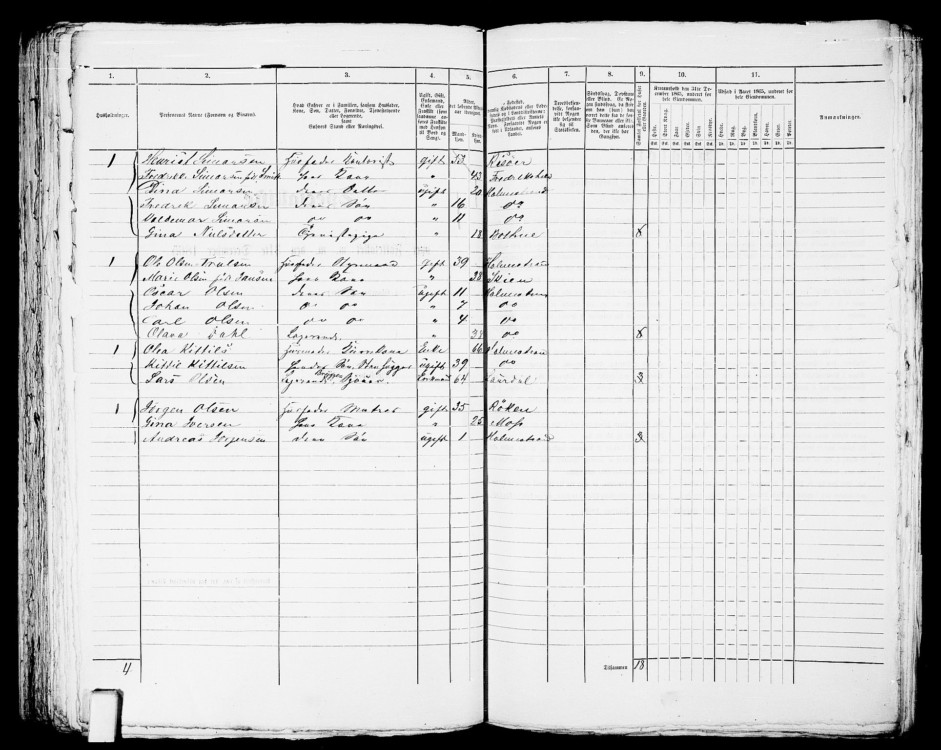 RA, 1865 census for Botne/Holmestrand, 1865, p. 250