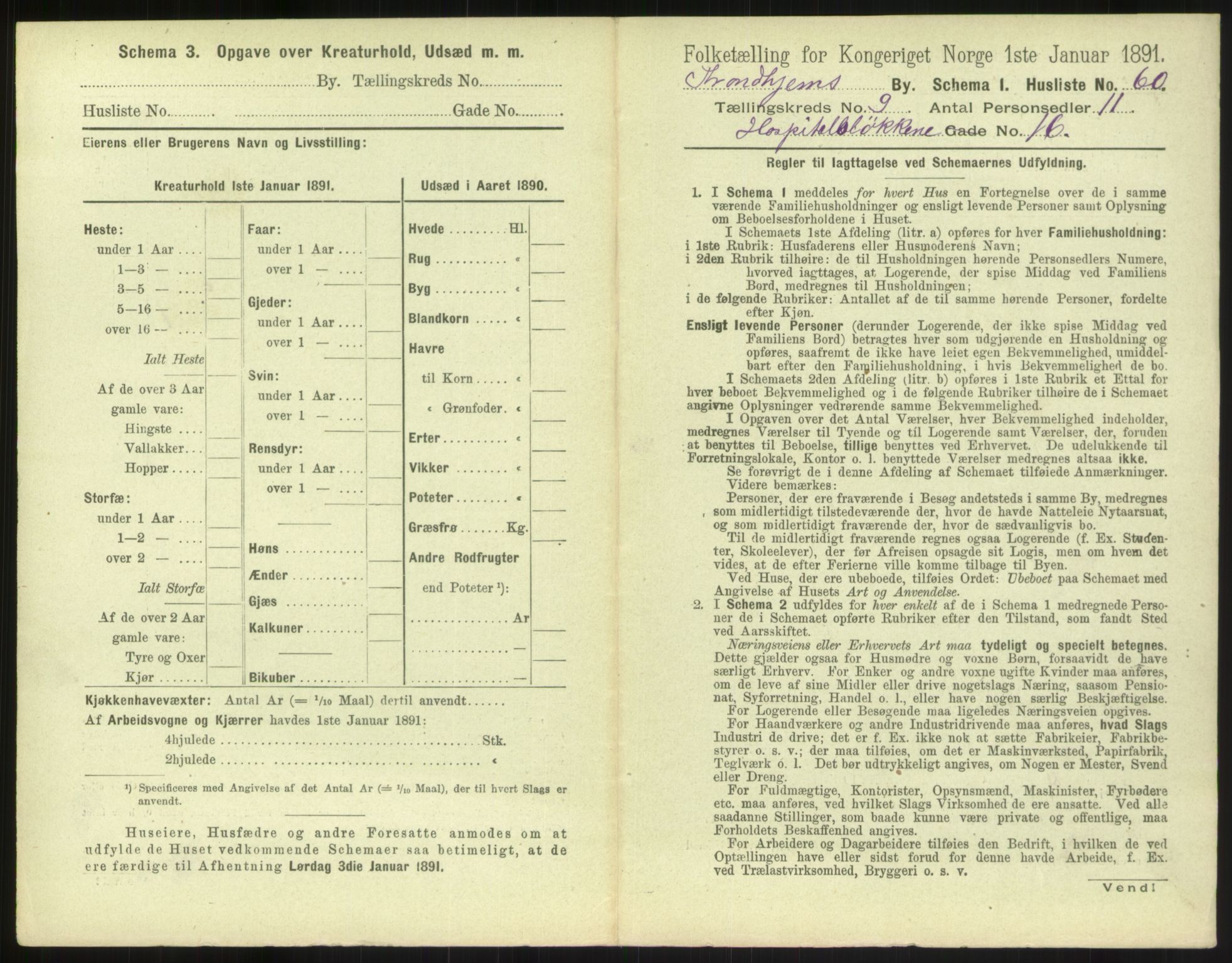 RA, 1891 census for 1601 Trondheim, 1891, p. 1144