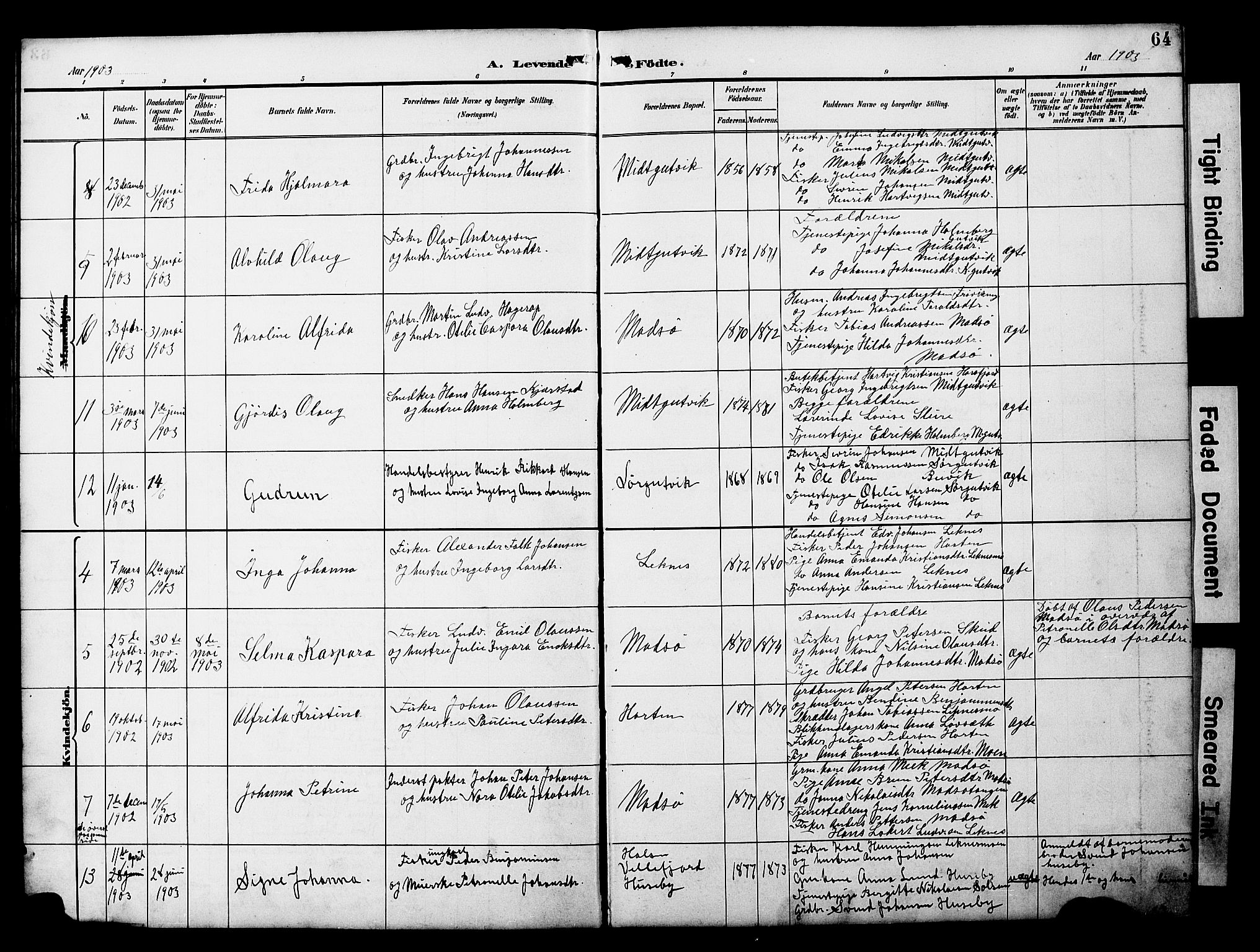Ministerialprotokoller, klokkerbøker og fødselsregistre - Nord-Trøndelag, SAT/A-1458/788/L0701: Parish register (copy) no. 788C01, 1888-1913, p. 64