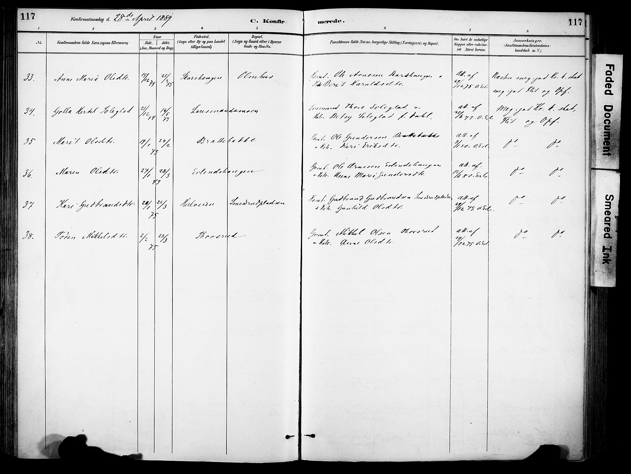 Sør-Aurdal prestekontor, AV/SAH-PREST-128/H/Ha/Haa/L0009: Parish register (official) no. 9, 1886-1906, p. 117