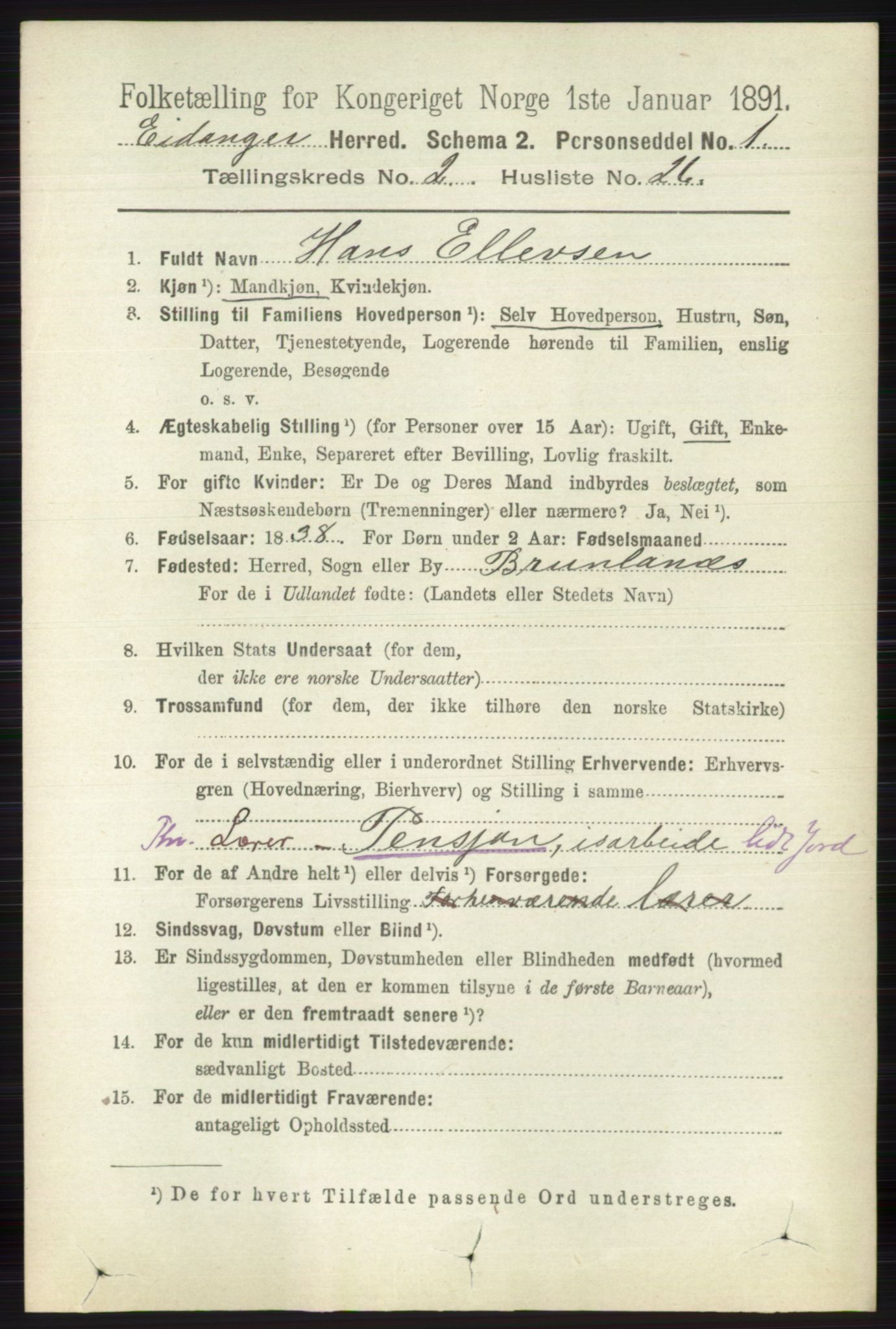 RA, 1891 census for 0813 Eidanger, 1891, p. 1036