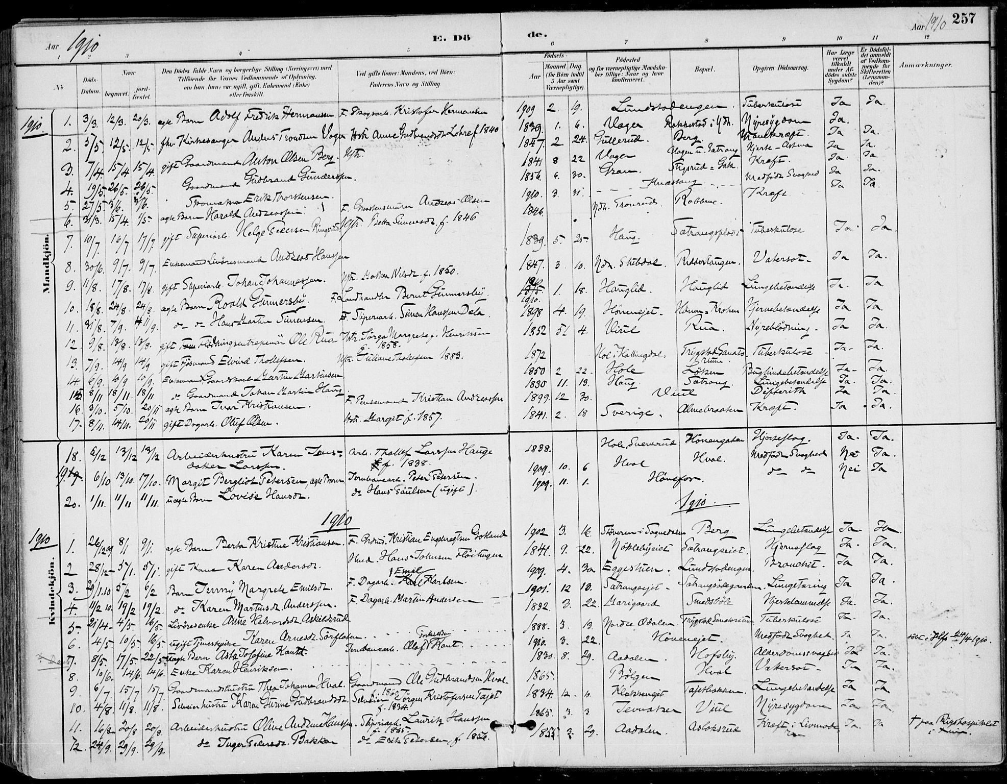 Haug kirkebøker, AV/SAKO-A-604/F/Fa/L0001: Parish register (official) no. 1, 1885-1917, p. 257