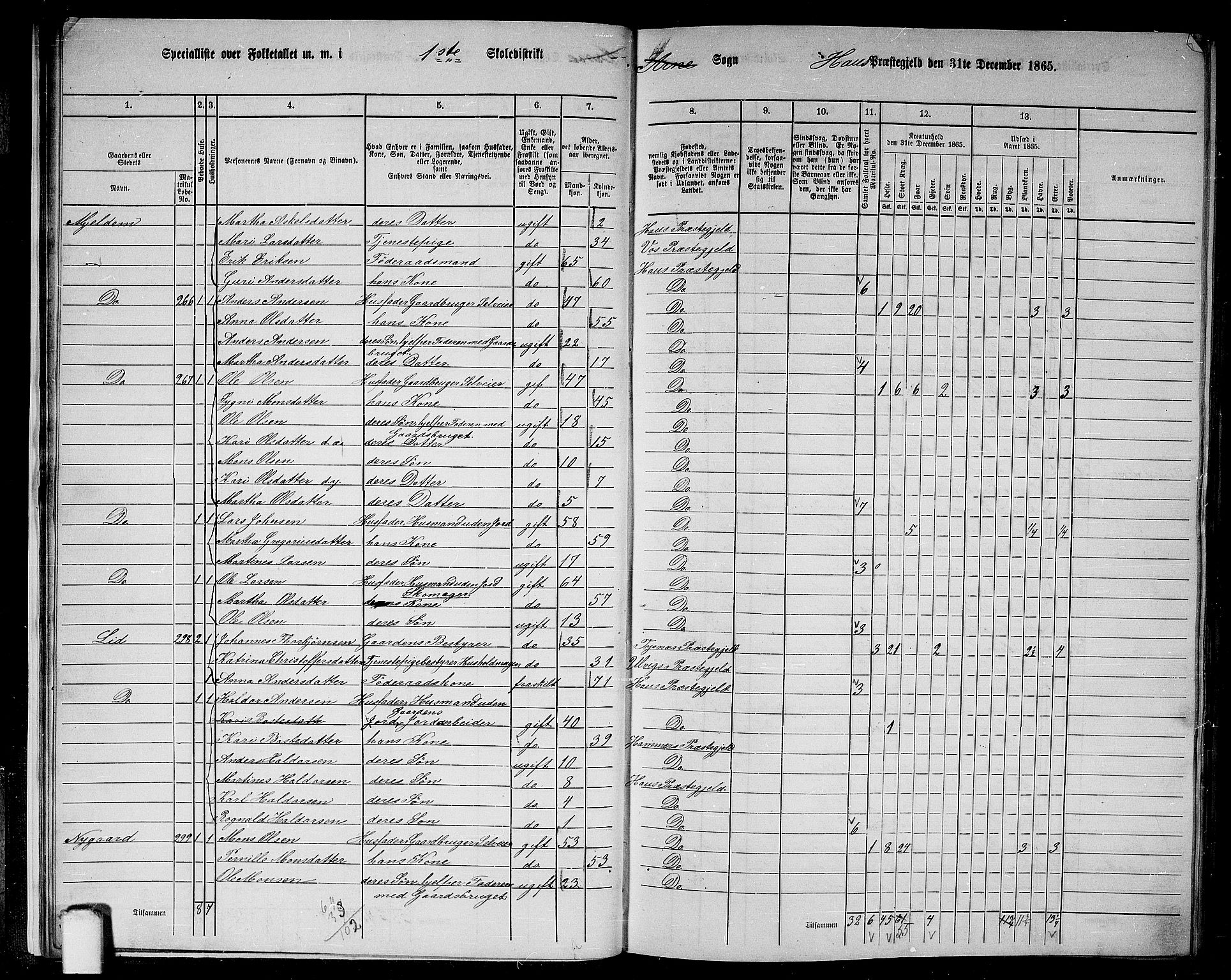 RA, 1865 census for Haus, 1865, p. 20