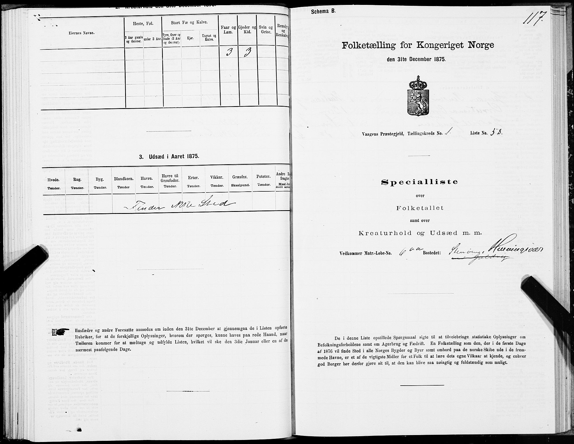 SAT, 1875 census for 1865P Vågan, 1875, p. 1117