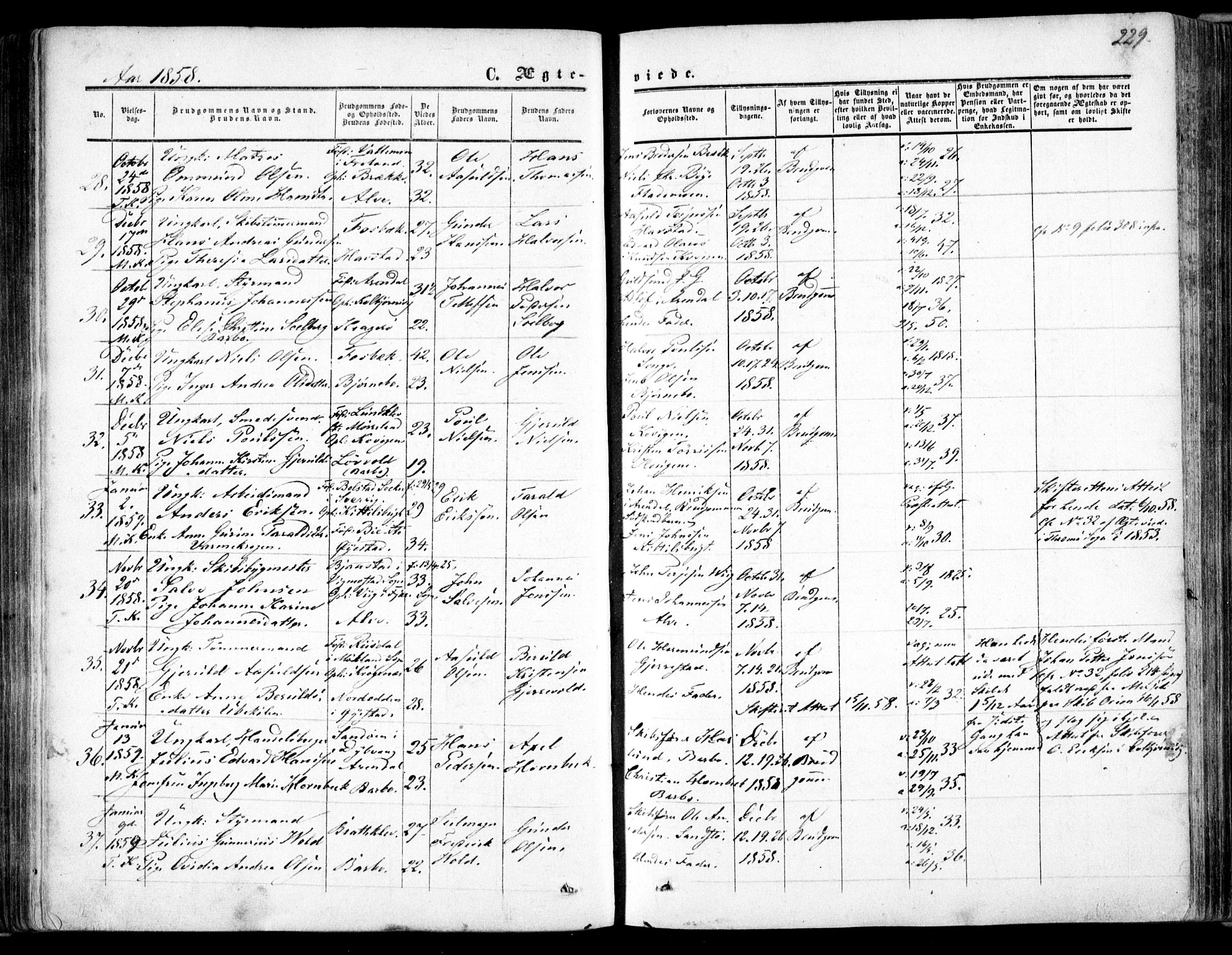 Tromøy sokneprestkontor, AV/SAK-1111-0041/F/Fa/L0006: Parish register (official) no. A 6, 1855-1863, p. 229