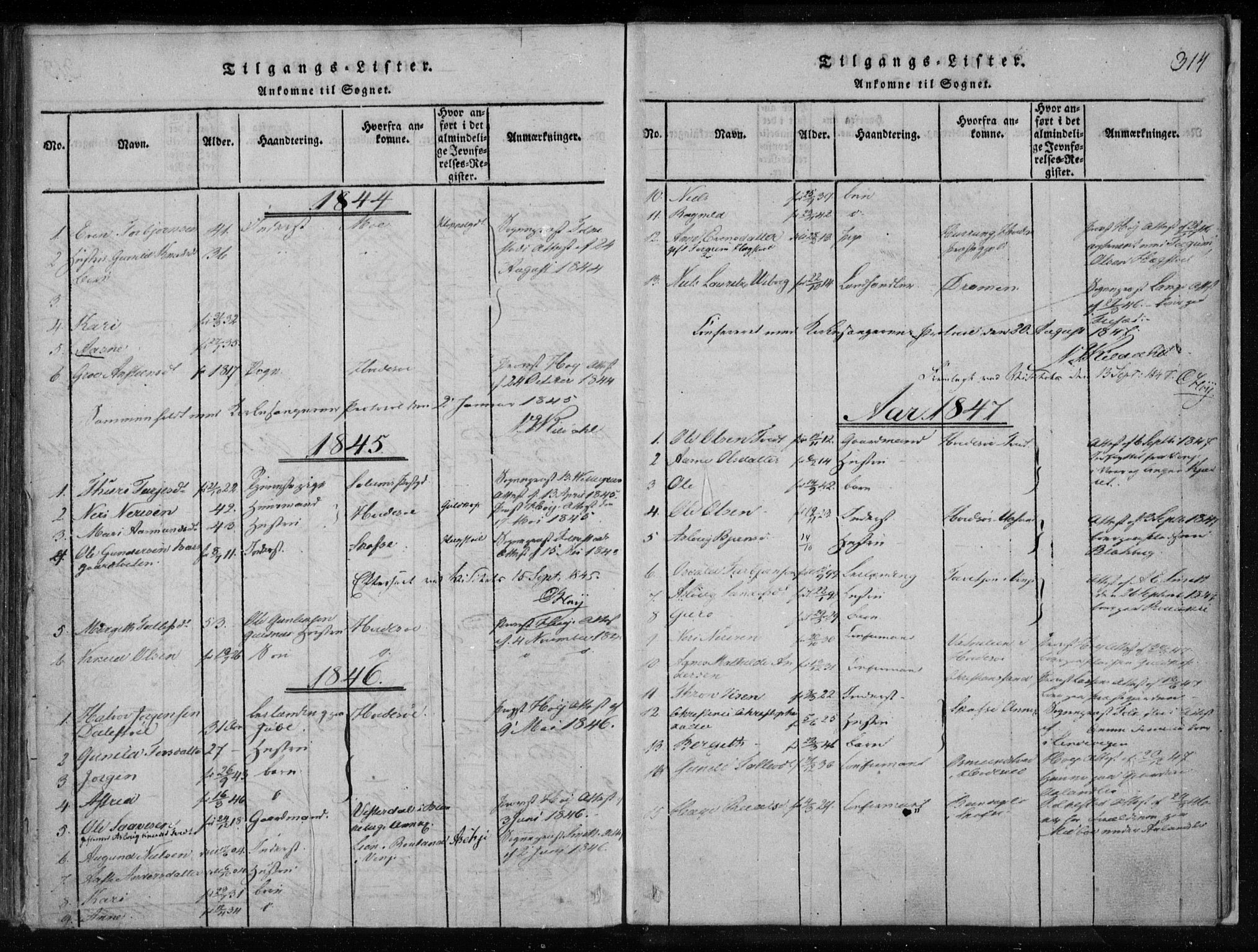 Lårdal kirkebøker, SAKO/A-284/F/Fa/L0005: Parish register (official) no. I 5, 1815-1860, p. 314