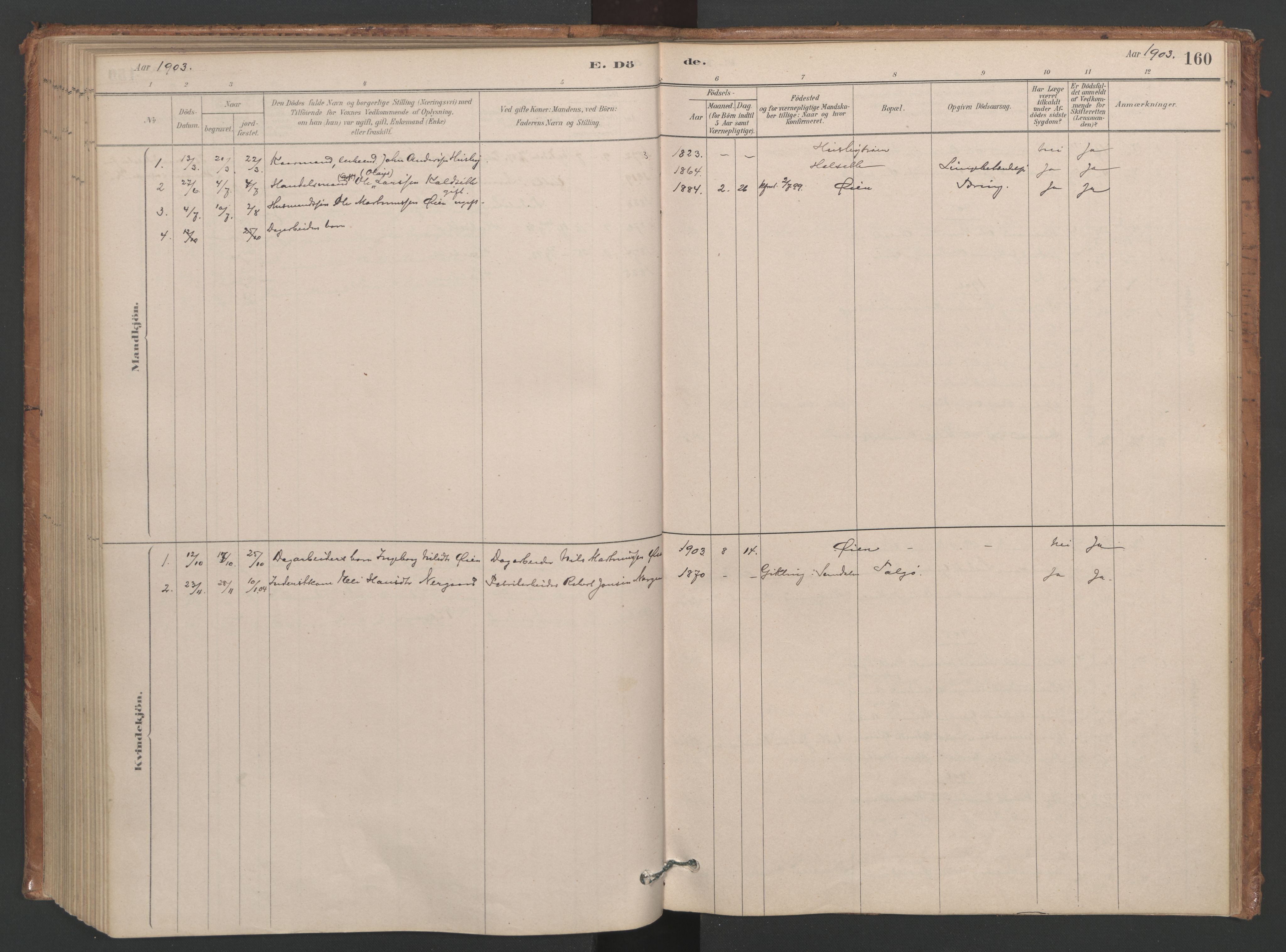 Ministerialprotokoller, klokkerbøker og fødselsregistre - Møre og Romsdal, SAT/A-1454/593/L1034: Parish register (official) no. 593A01, 1879-1911, p. 160