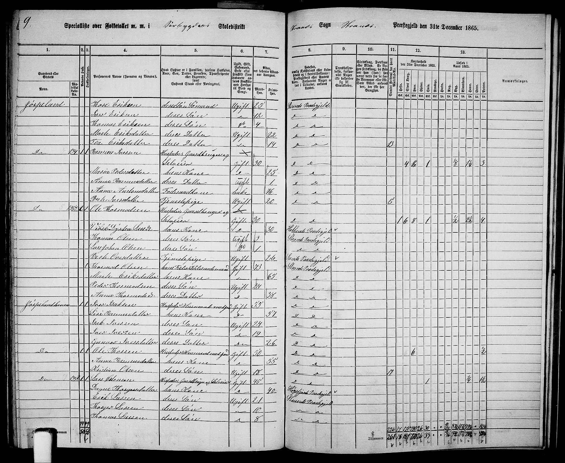 RA, 1865 census for Strand, 1865, p. 76