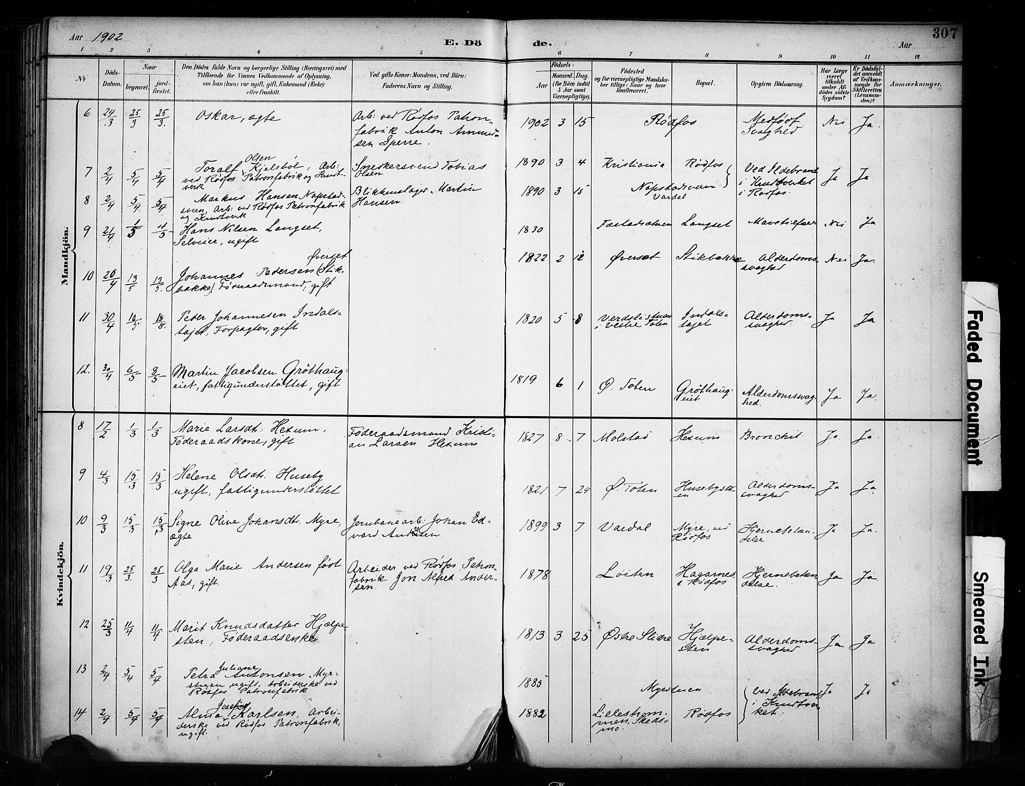 Vestre Toten prestekontor, SAH/PREST-108/H/Ha/Haa/L0011: Parish register (official) no. 11, 1895-1906, p. 307