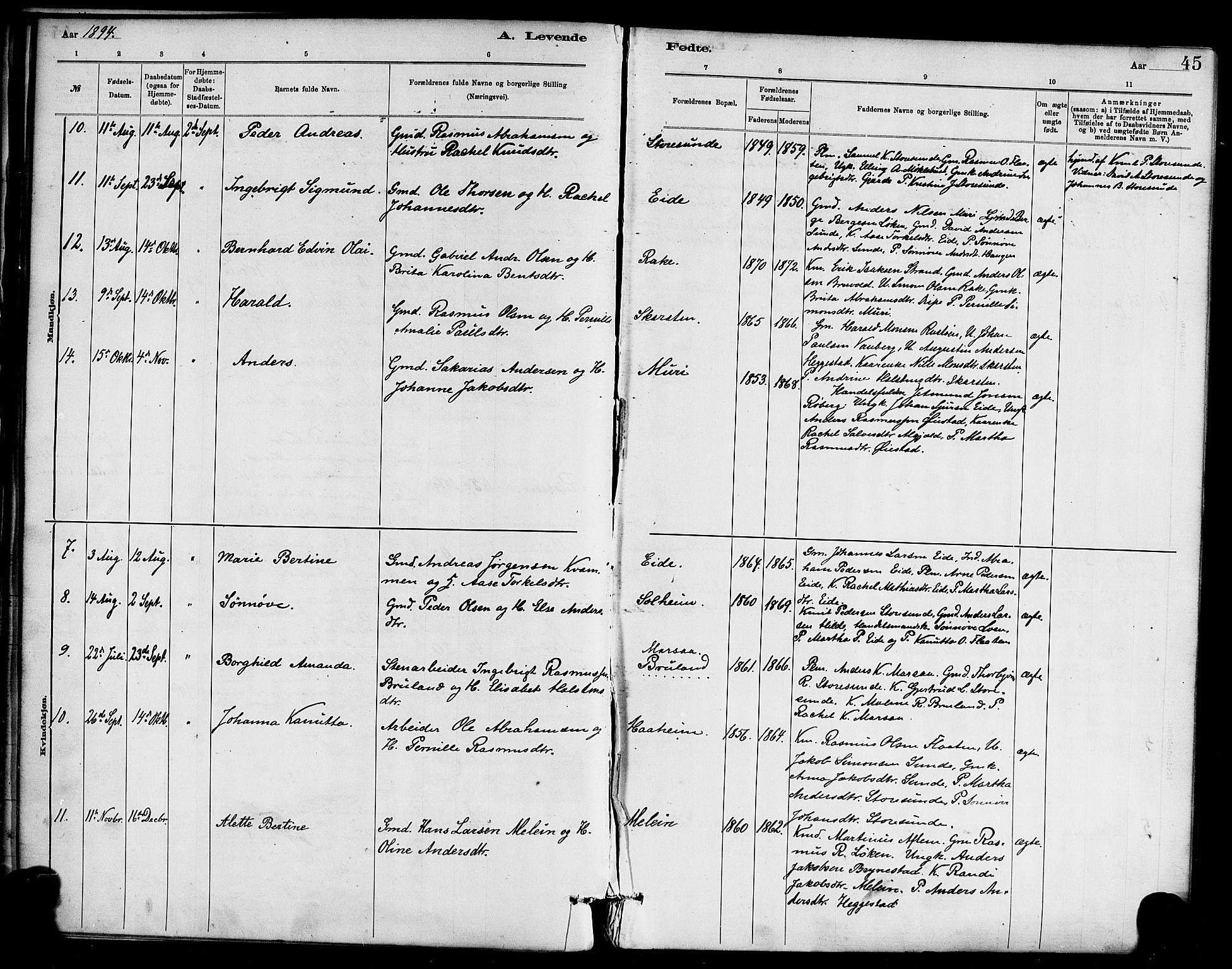 Innvik sokneprestembete, AV/SAB-A-80501: Parish register (official) no. C 1, 1879-1900, p. 45