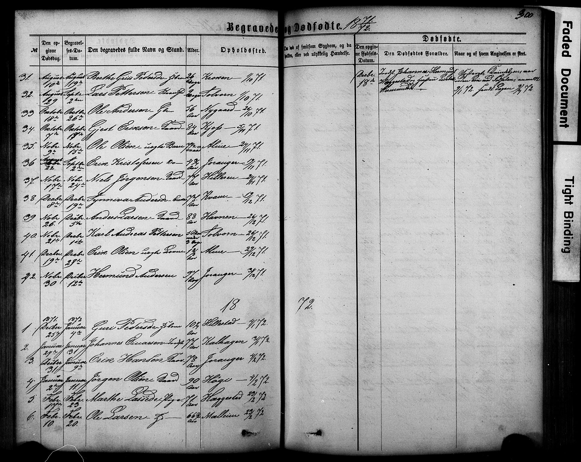 Hafslo sokneprestembete, SAB/A-80301/H/Hab/Haba/L0001: Parish register (copy) no. A 1, 1866-1908, p. 300