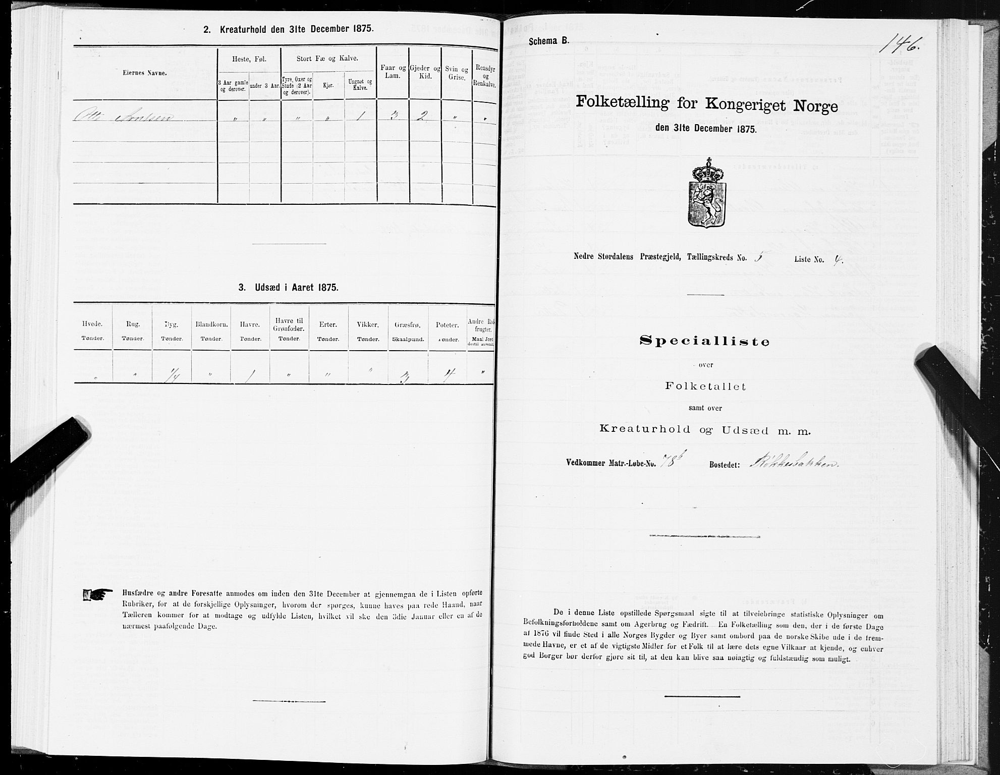 SAT, 1875 census for 1714P Nedre Stjørdal, 1875, p. 2146