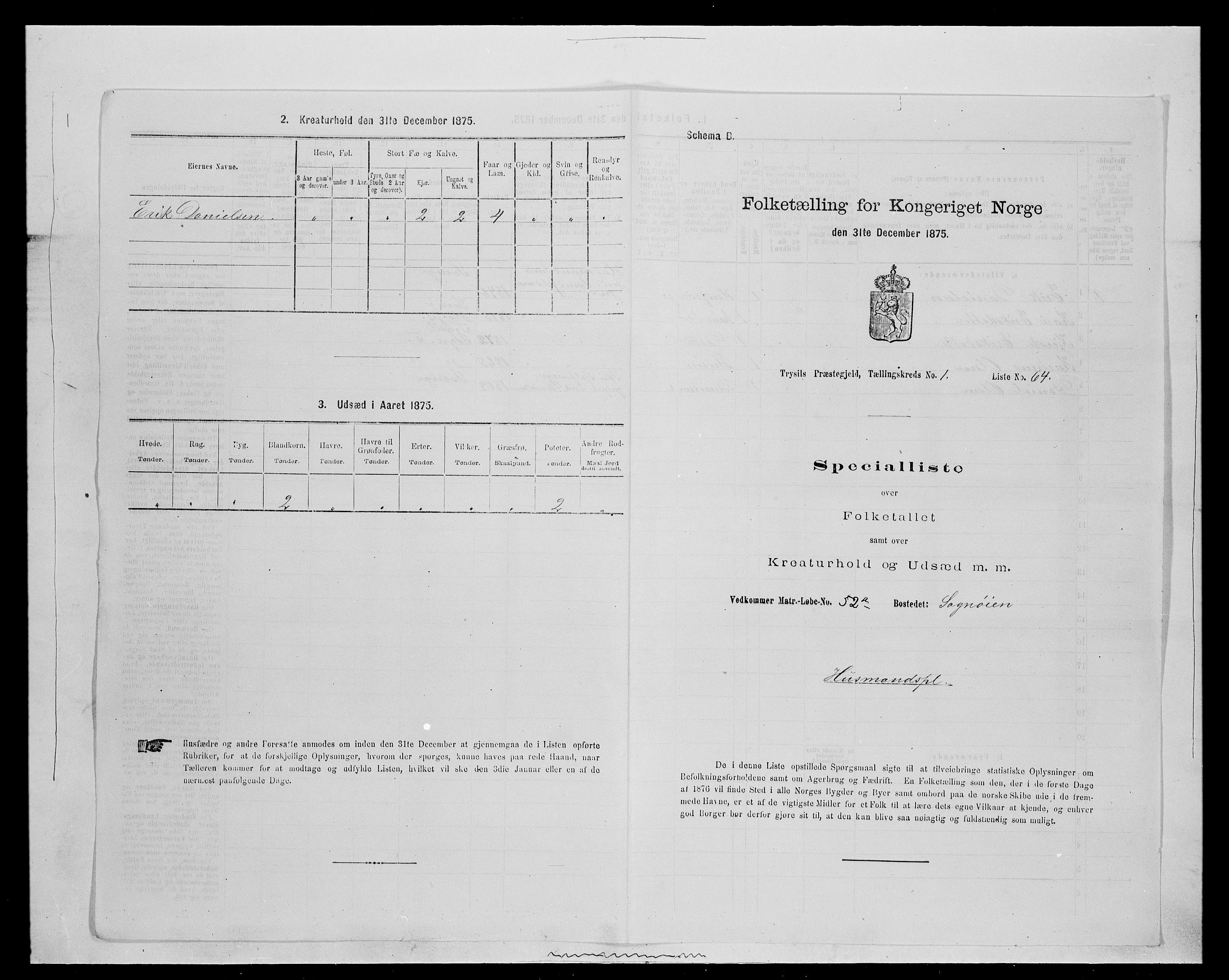 SAH, 1875 census for 0428P Trysil, 1875, p. 253