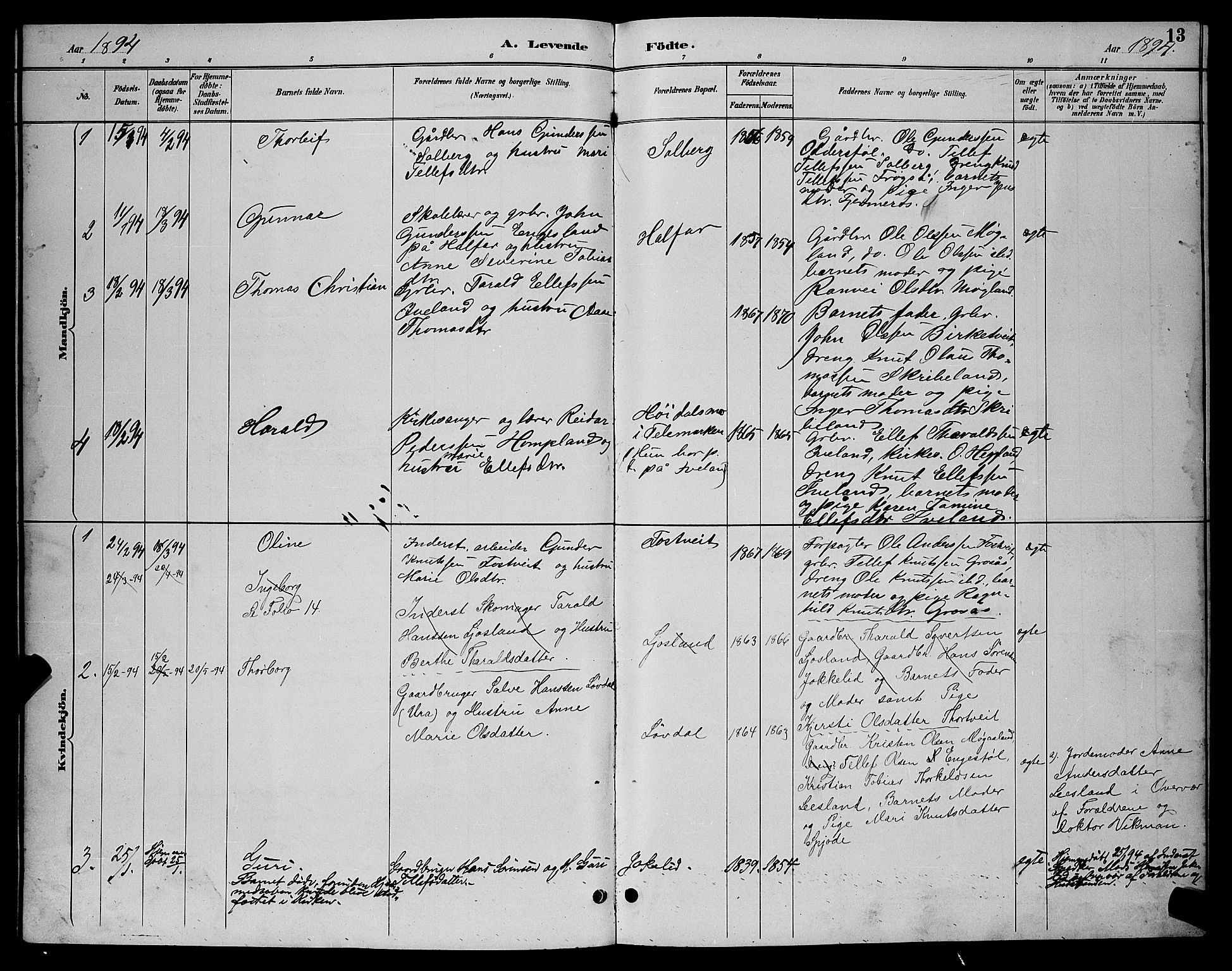 Evje sokneprestkontor, AV/SAK-1111-0008/F/Fb/Fbc/L0004: Parish register (copy) no. B 4, 1890-1900, p. 13