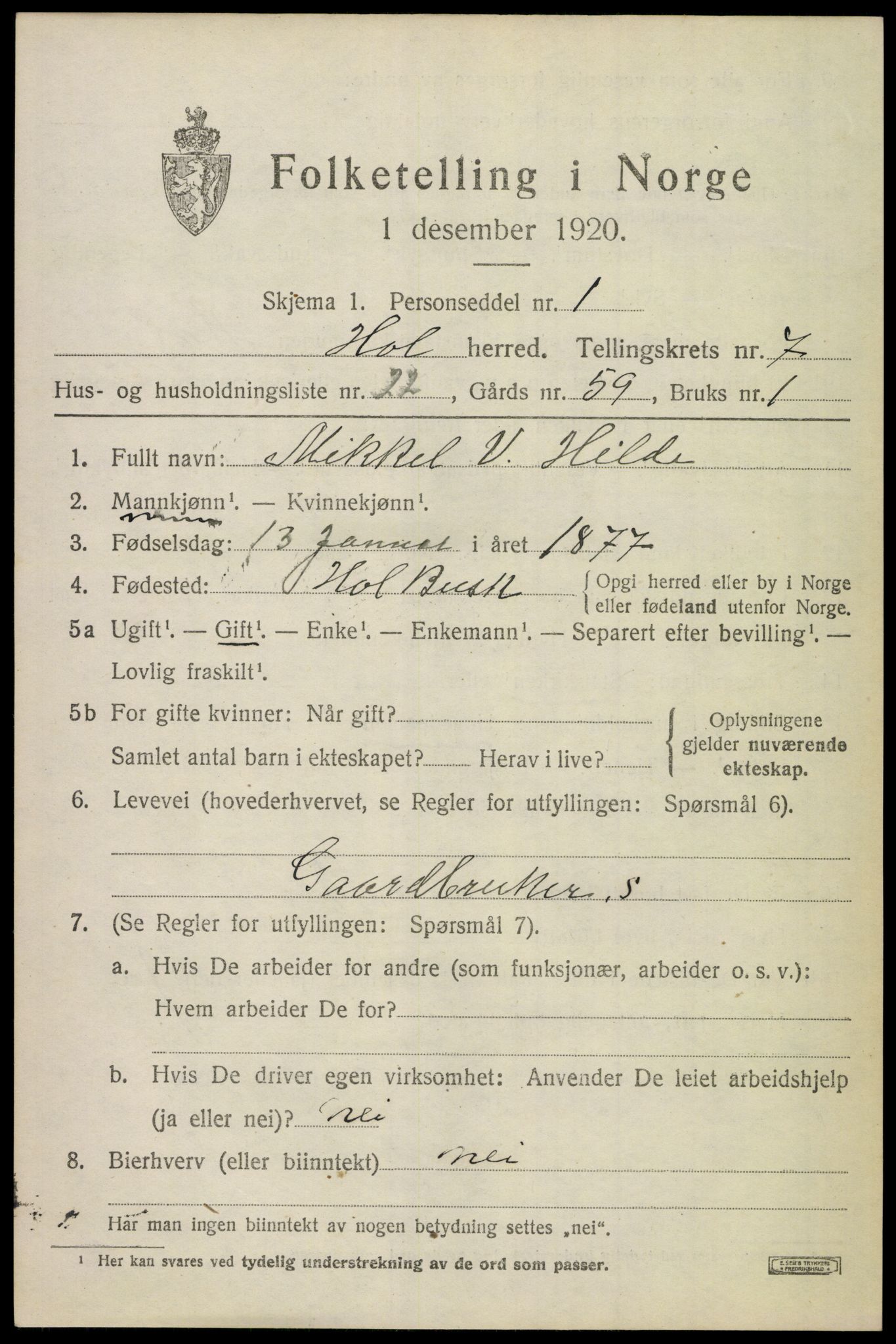 SAKO, 1920 census for Hol (Buskerud), 1920, p. 3777