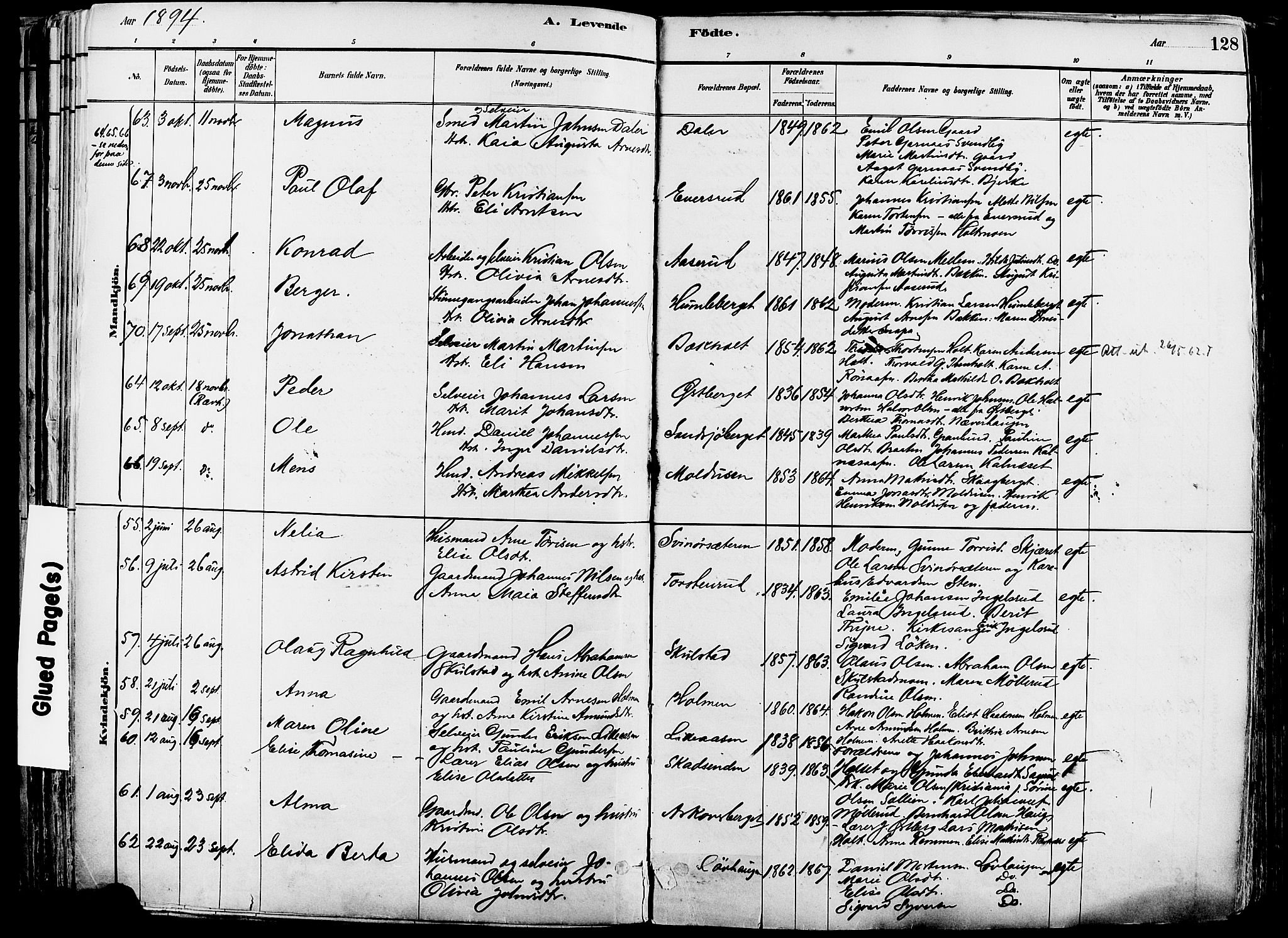 Grue prestekontor, SAH/PREST-036/H/Ha/Haa/L0012: Parish register (official) no. 12, 1881-1897, p. 128