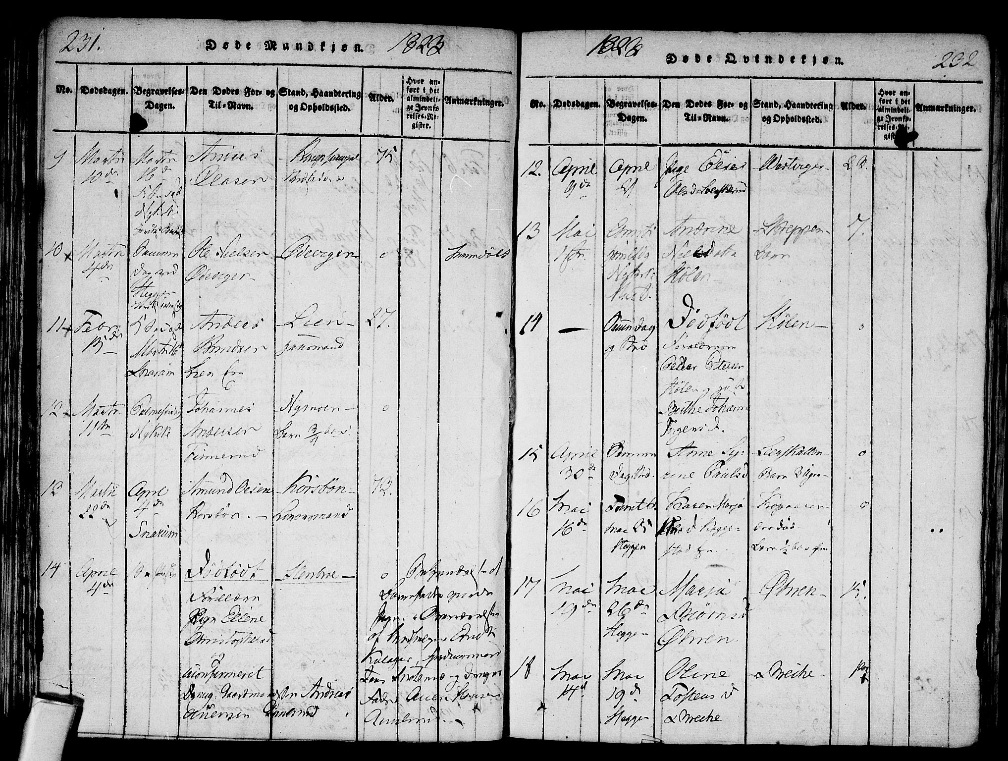 Modum kirkebøker, AV/SAKO-A-234/F/Fa/L0004: Parish register (official) no. 4, 1818-1824, p. 231-232