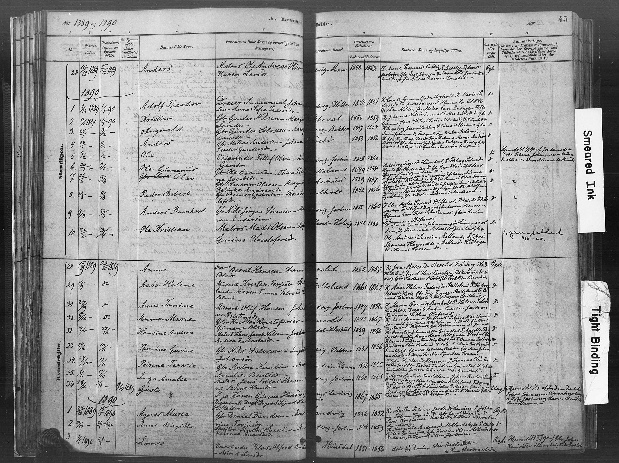 Hommedal sokneprestkontor, AV/SAK-1111-0023/F/Fa/Fab/L0006: Parish register (official) no. A 6, 1878-1897, p. 45