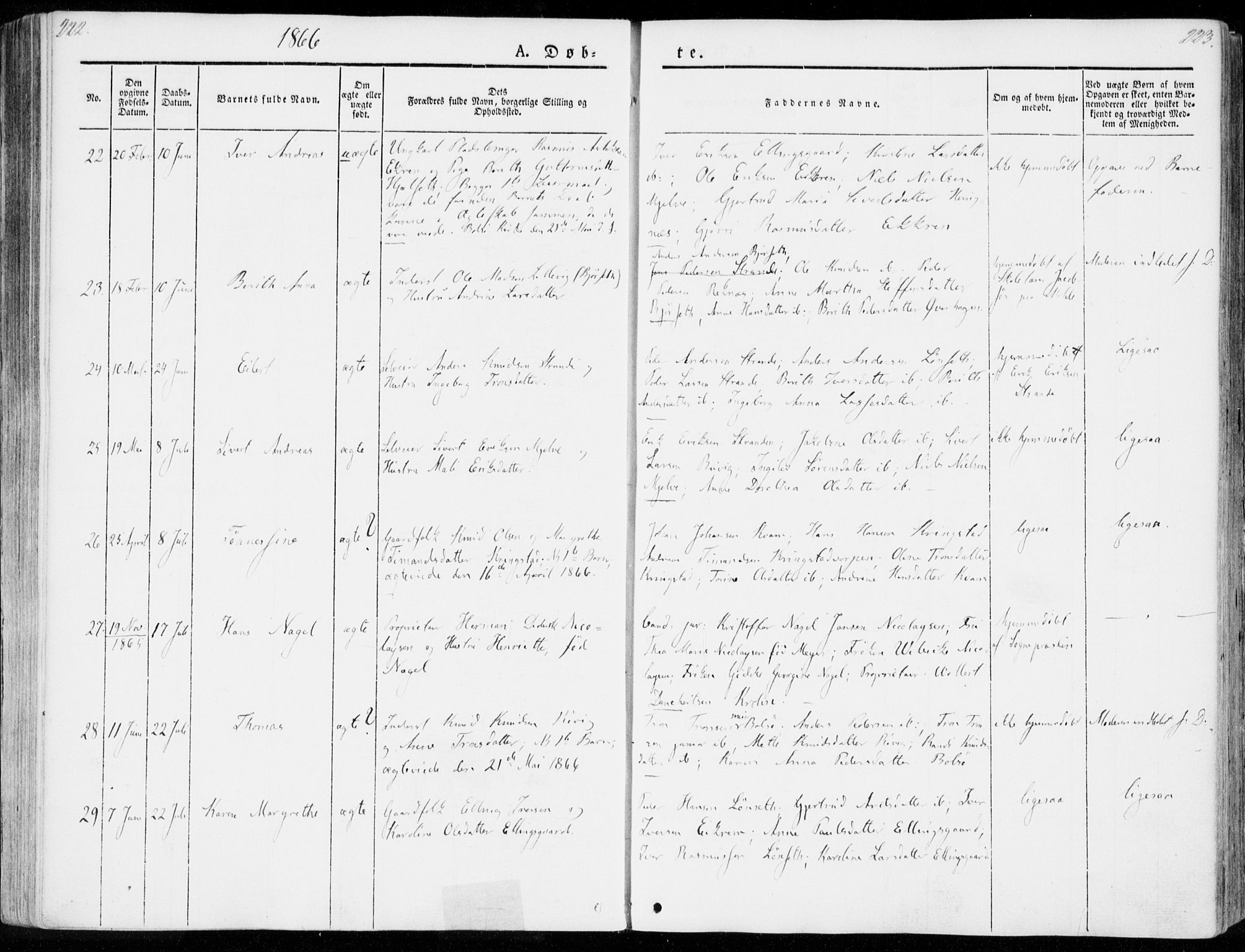 Ministerialprotokoller, klokkerbøker og fødselsregistre - Møre og Romsdal, AV/SAT-A-1454/555/L0653: Parish register (official) no. 555A04, 1843-1869, p. 222-223