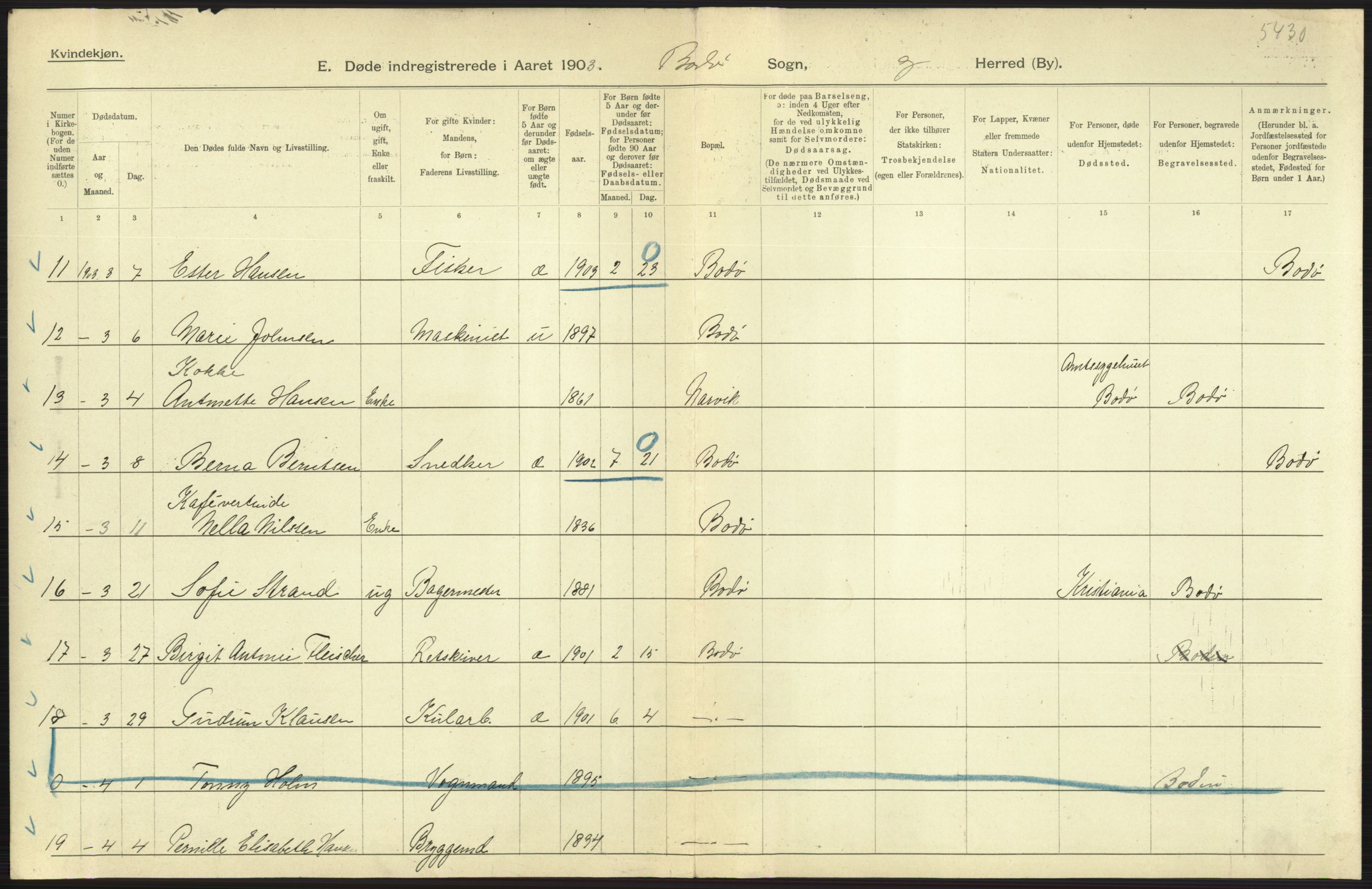 Statistisk sentralbyrå, Sosiodemografiske emner, Befolkning, AV/RA-S-2228/D/Df/Dfa/Dfaa/L0019: Nordlands amt: Fødte, gifte, døde., 1903, p. 545
