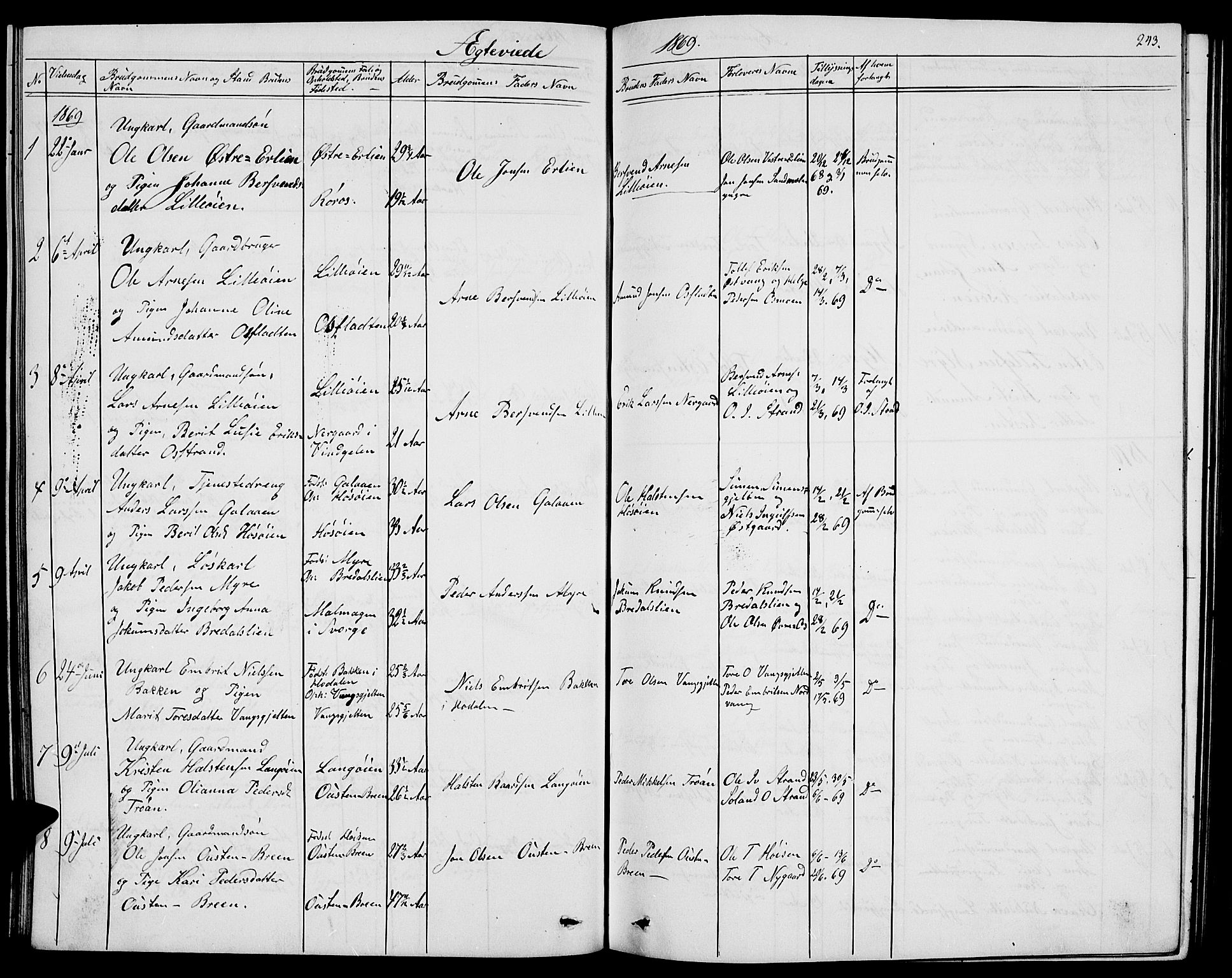 Tolga prestekontor, AV/SAH-PREST-062/L/L0004: Parish register (copy) no. 4, 1845-1887, p. 243