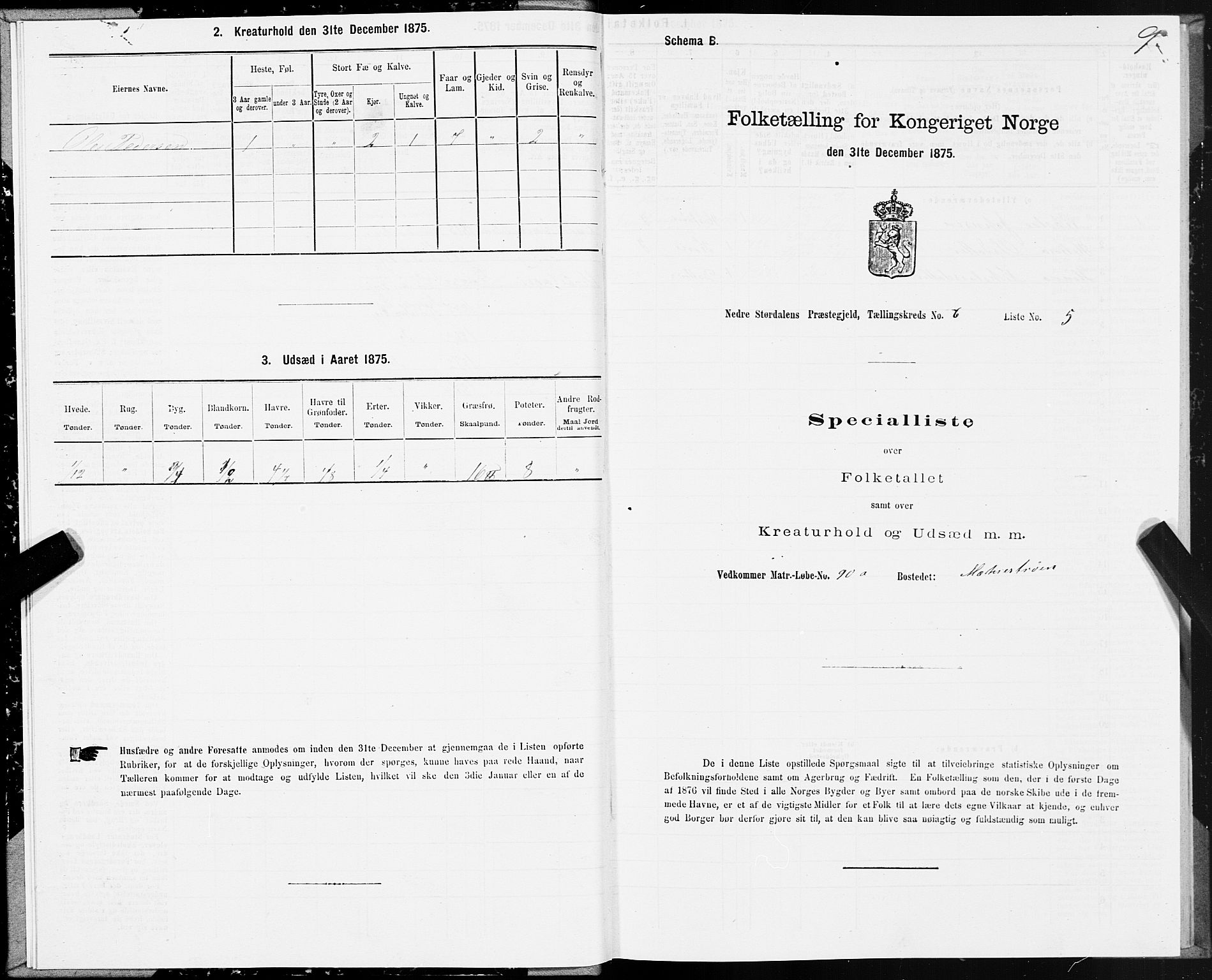 SAT, 1875 census for 1714P Nedre Stjørdal, 1875, p. 3009