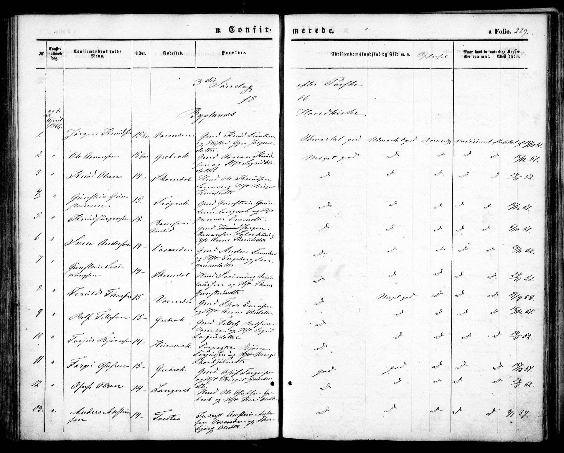 Bygland sokneprestkontor, SAK/1111-0006/F/Fa/Fab/L0005: Parish register (official) no. A 5, 1859-1873, p. 229