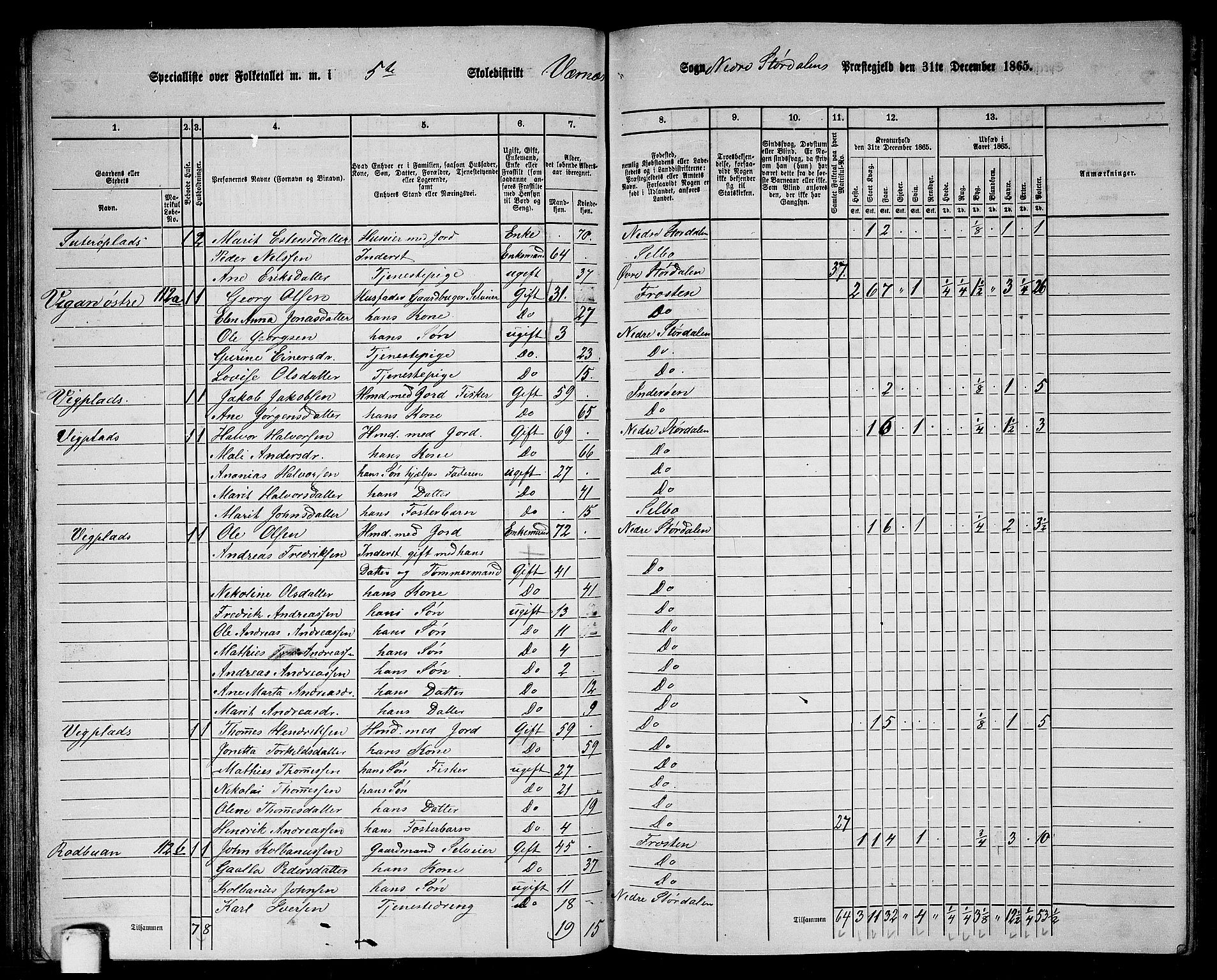 RA, 1865 census for Nedre Stjørdal, 1865, p. 88