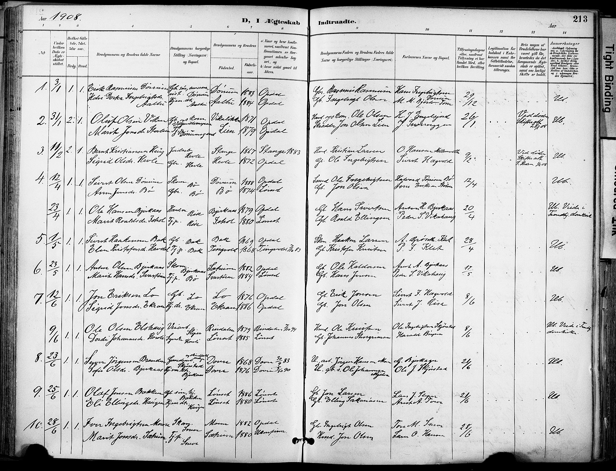 Ministerialprotokoller, klokkerbøker og fødselsregistre - Sør-Trøndelag, SAT/A-1456/678/L0902: Parish register (official) no. 678A11, 1895-1911, p. 213