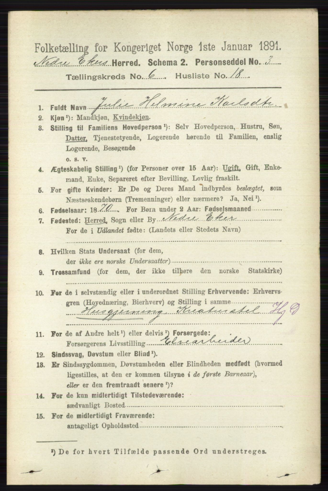 RA, 1891 census for 0625 Nedre Eiker, 1891, p. 2994