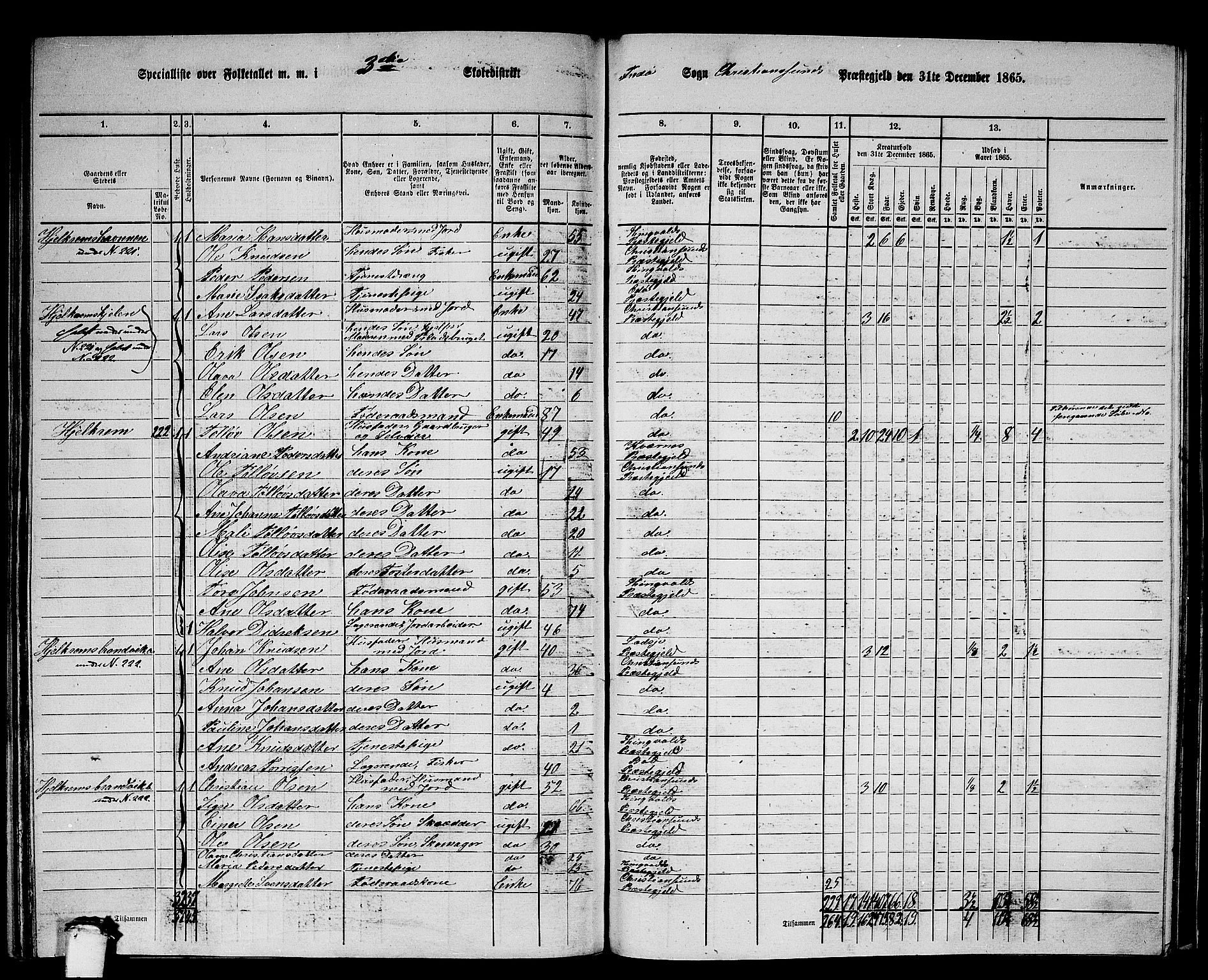 RA, 1865 census for Kristiansund/Frei og Grip, 1865, p. 45