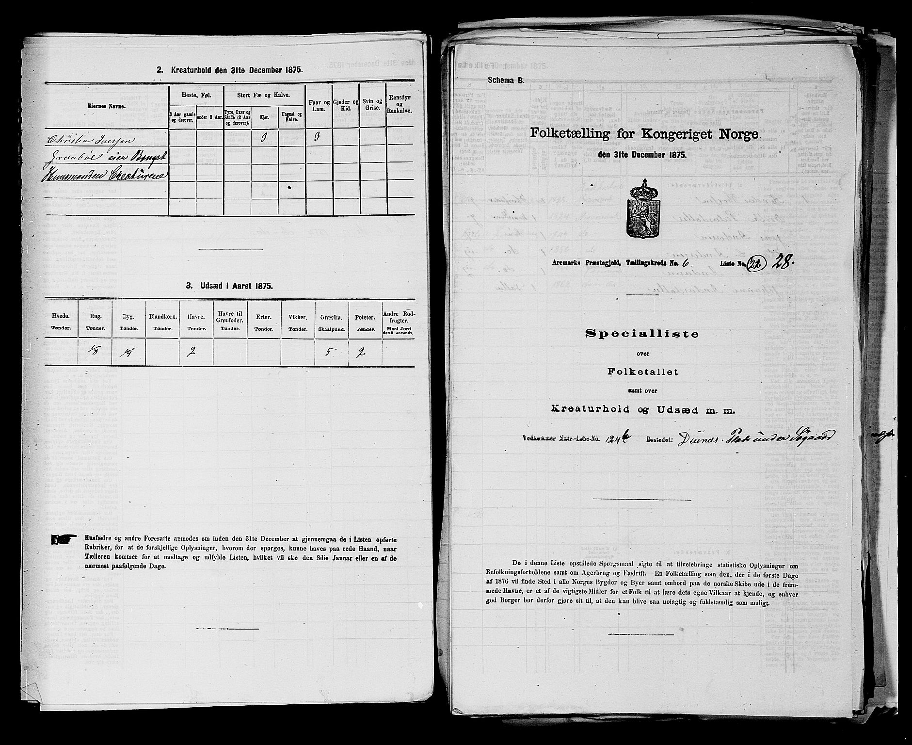 RA, 1875 census for 0118P Aremark, 1875, p. 873