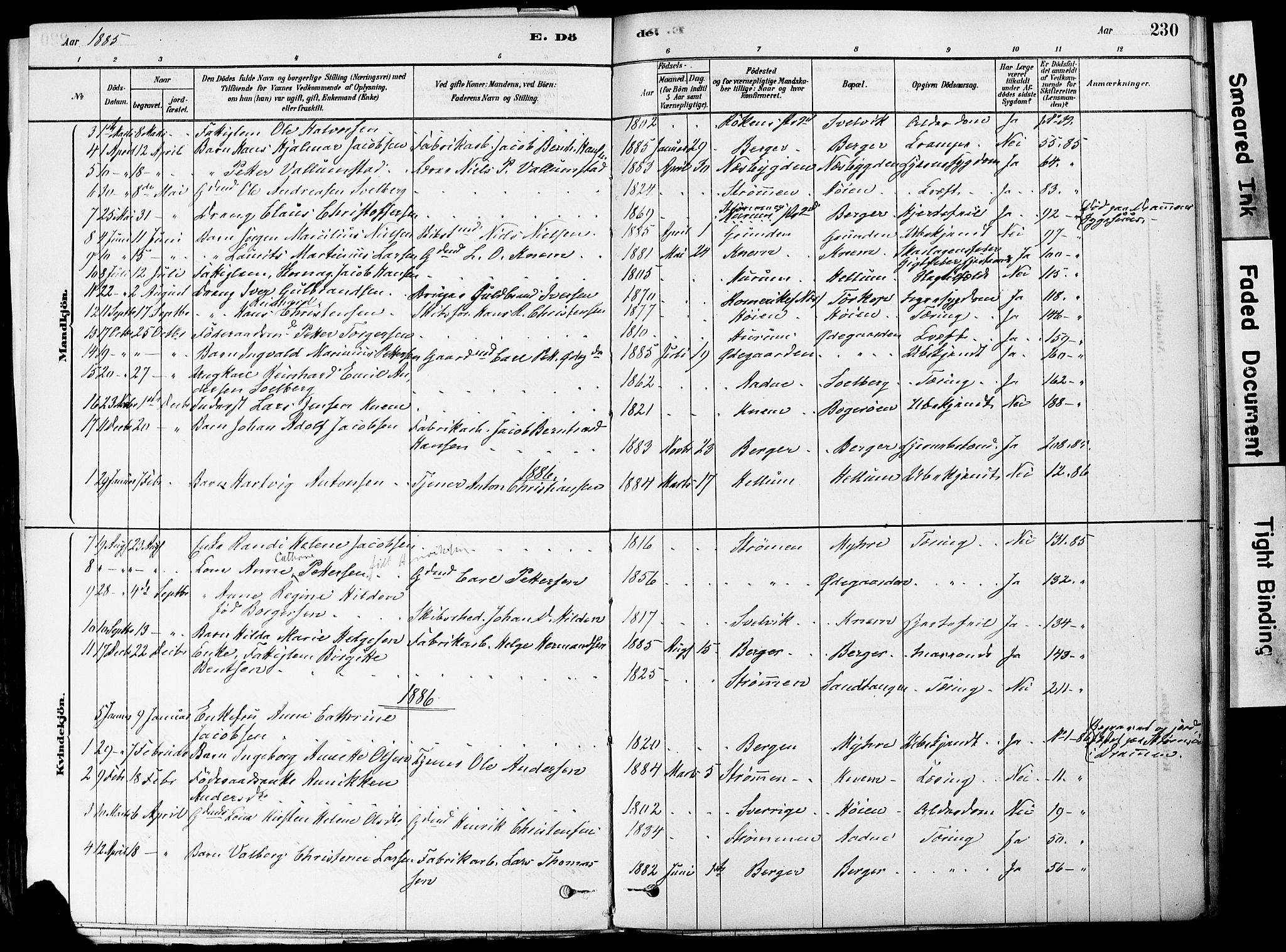 Strømm kirkebøker, AV/SAKO-A-322/F/Fa/L0004: Parish register (official) no. I 4, 1878-1899, p. 230