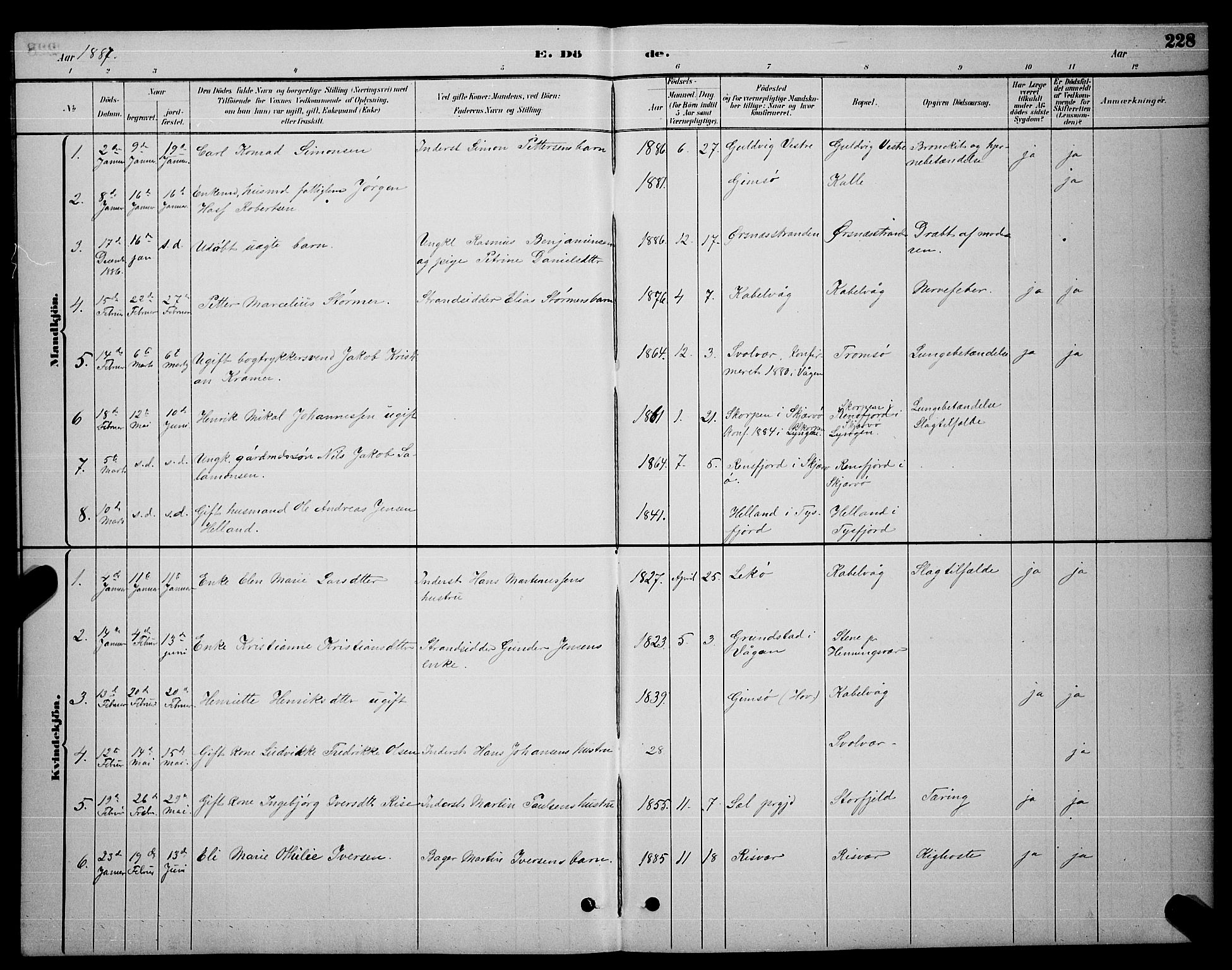 Ministerialprotokoller, klokkerbøker og fødselsregistre - Nordland, AV/SAT-A-1459/874/L1076: Parish register (copy) no. 874C05, 1884-1890, p. 228