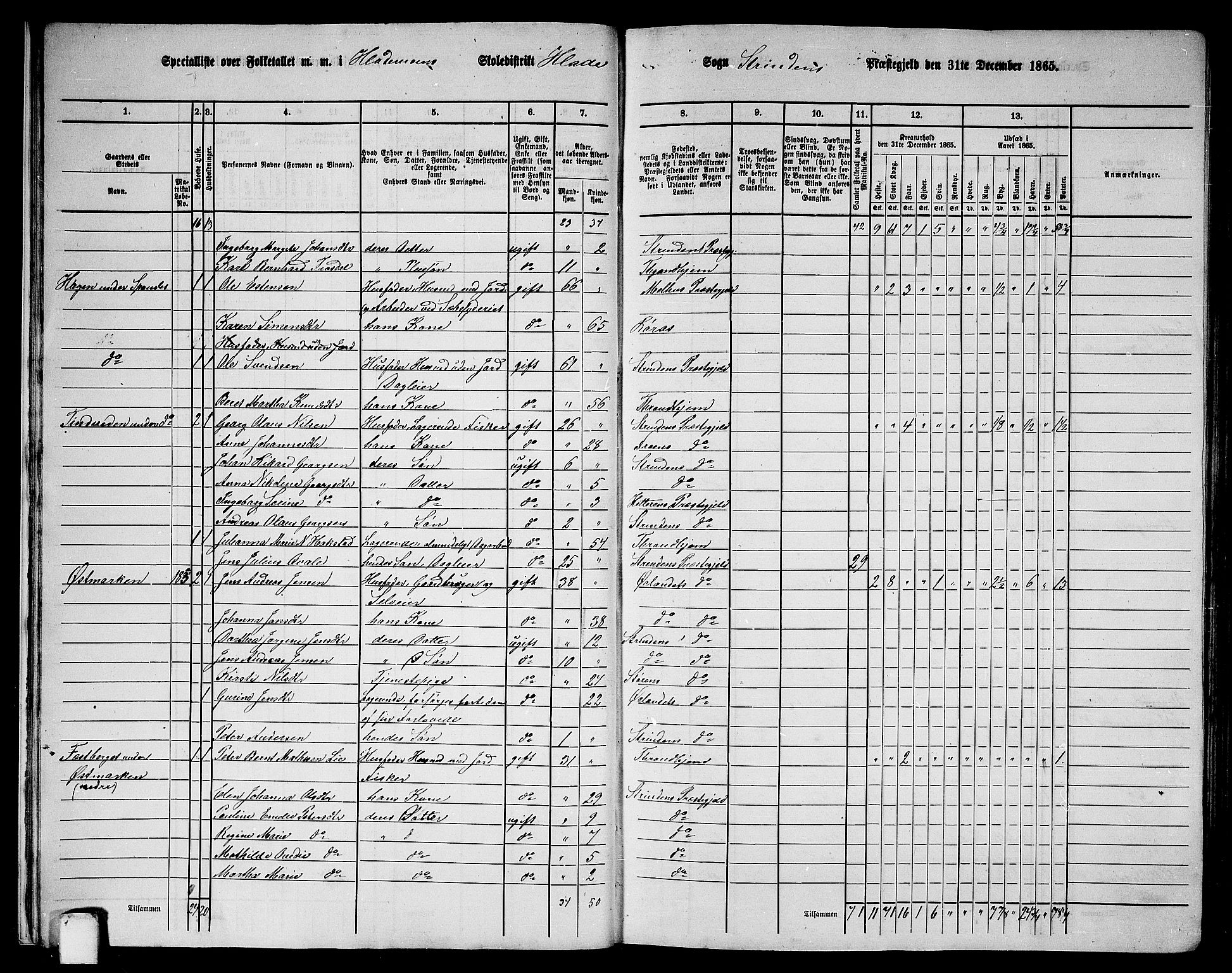 RA, 1865 census for Strinda, 1865, p. 16