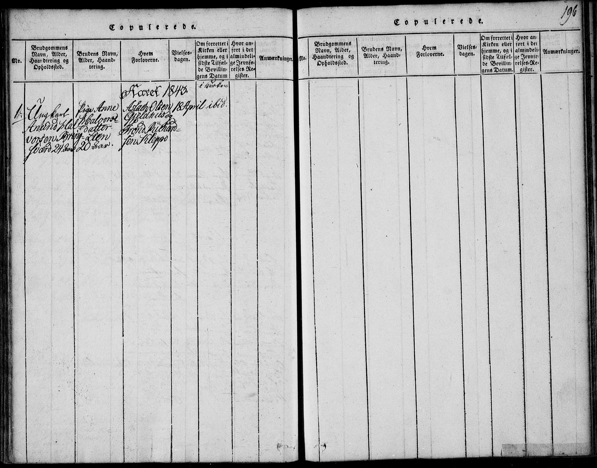 Vinje kirkebøker, SAKO/A-312/F/Fb/L0001: Parish register (official) no. II 1, 1814-1843, p. 196