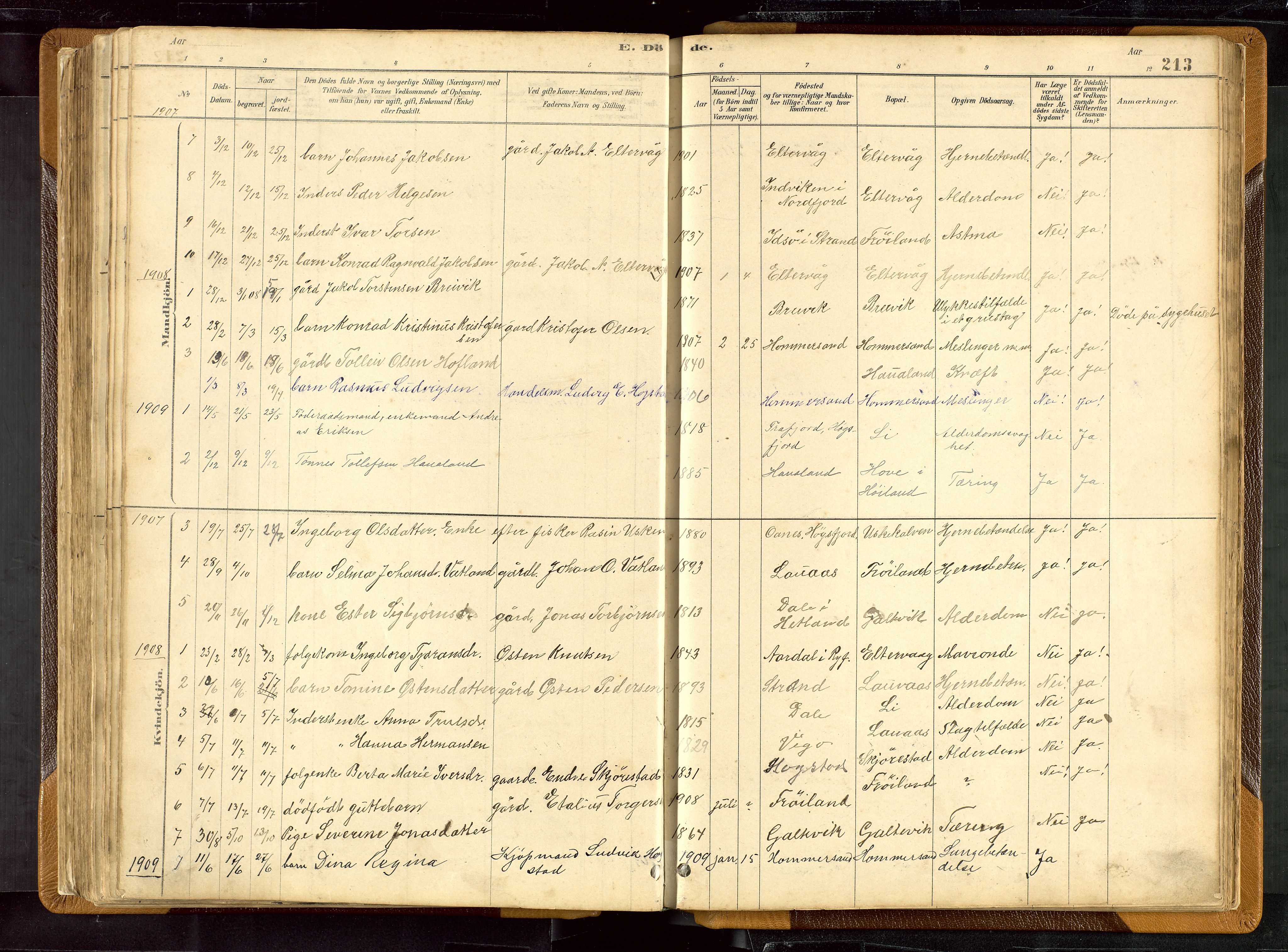 Hetland sokneprestkontor, SAST/A-101826/30/30BB/L0007: Parish register (copy) no. B 7, 1878-1910, p. 213