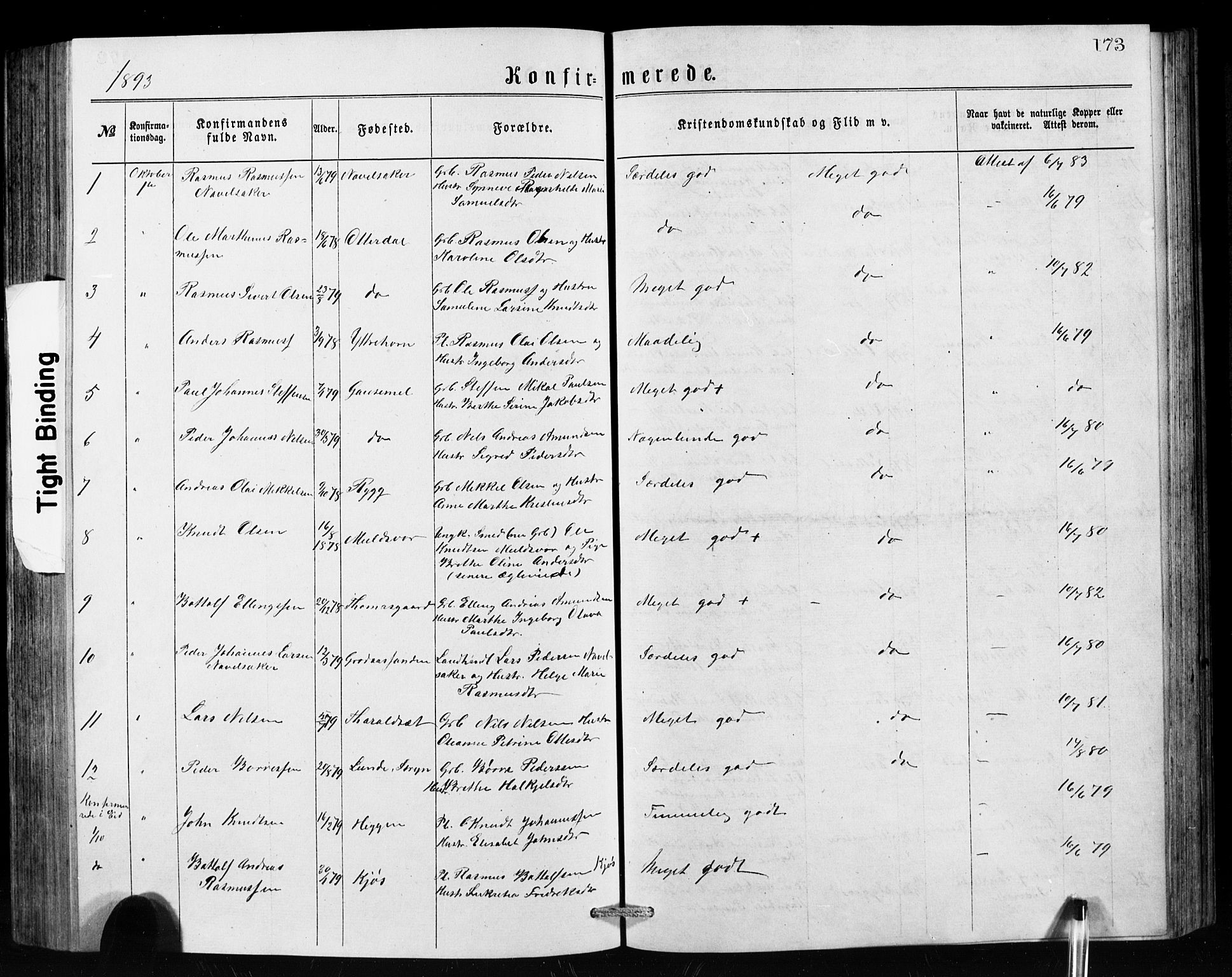 Hornindal sokneprestembete, AV/SAB-A-82401/H/Hab: Parish register (copy) no. A 1, 1876-1894, p. 173