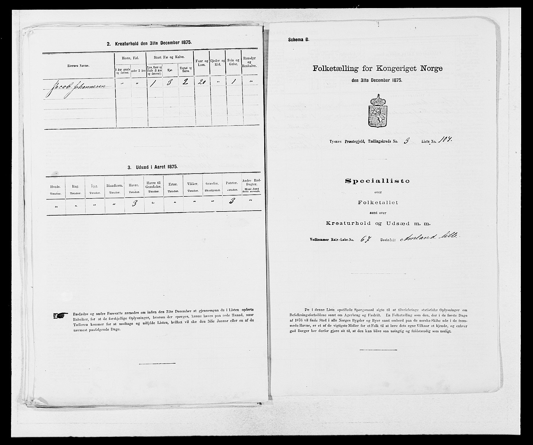 SAB, 1875 census for 1223P Tysnes, 1875, p. 426