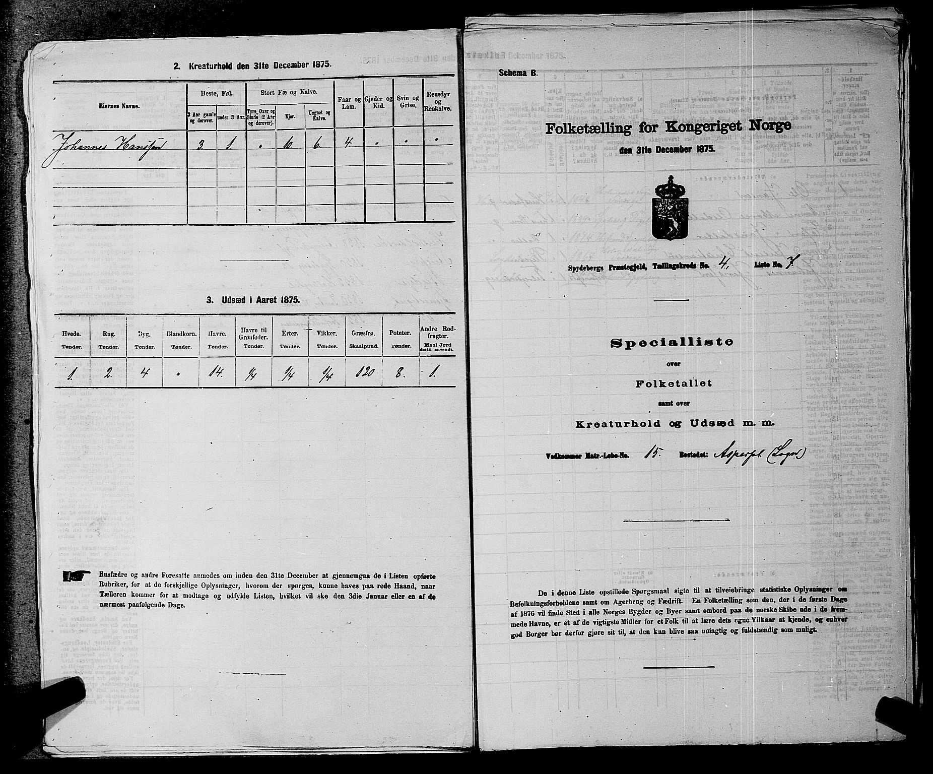 RA, 1875 census for 0123P Spydeberg, 1875, p. 699